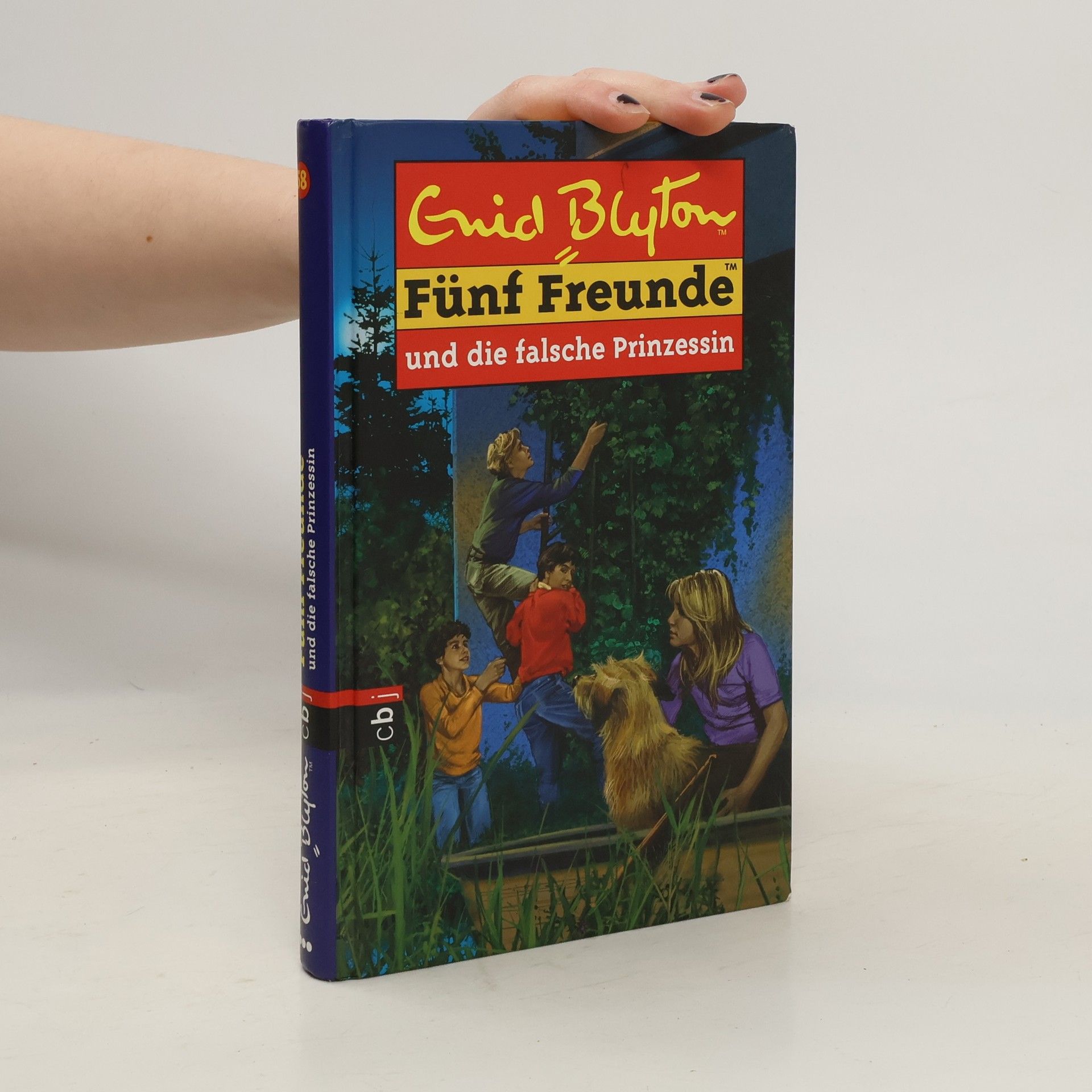 Sarah Bosse Fünf Freunde und die falsche Prinzessin