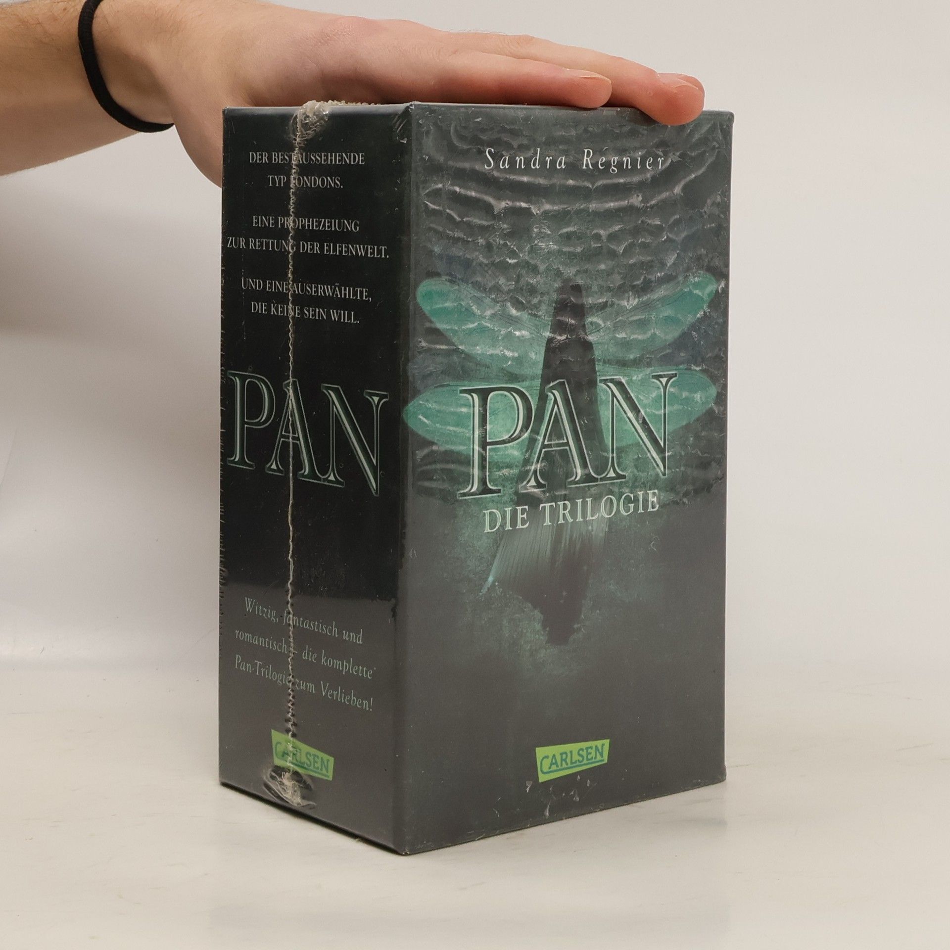 Sandra Regnier Pan 1-3