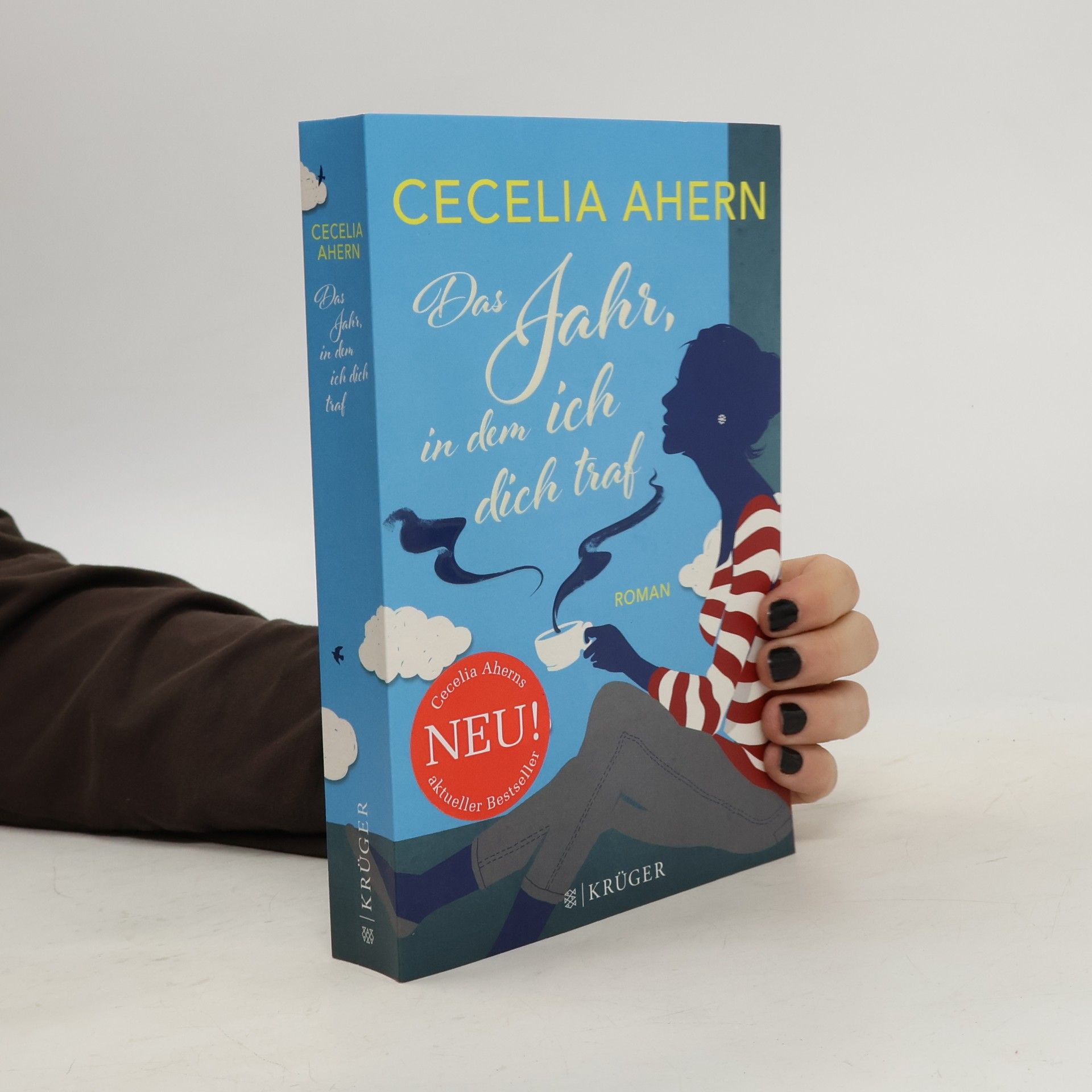 Cecelia Ahern Das Jahr, in dem ich dich traf