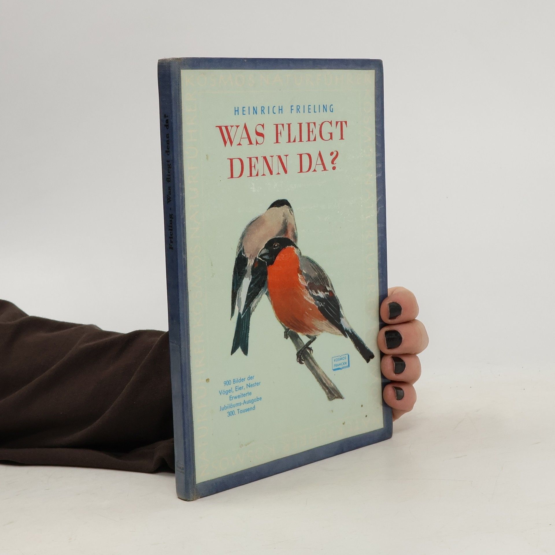 Heinrich Frieling Was fliegt denn da?