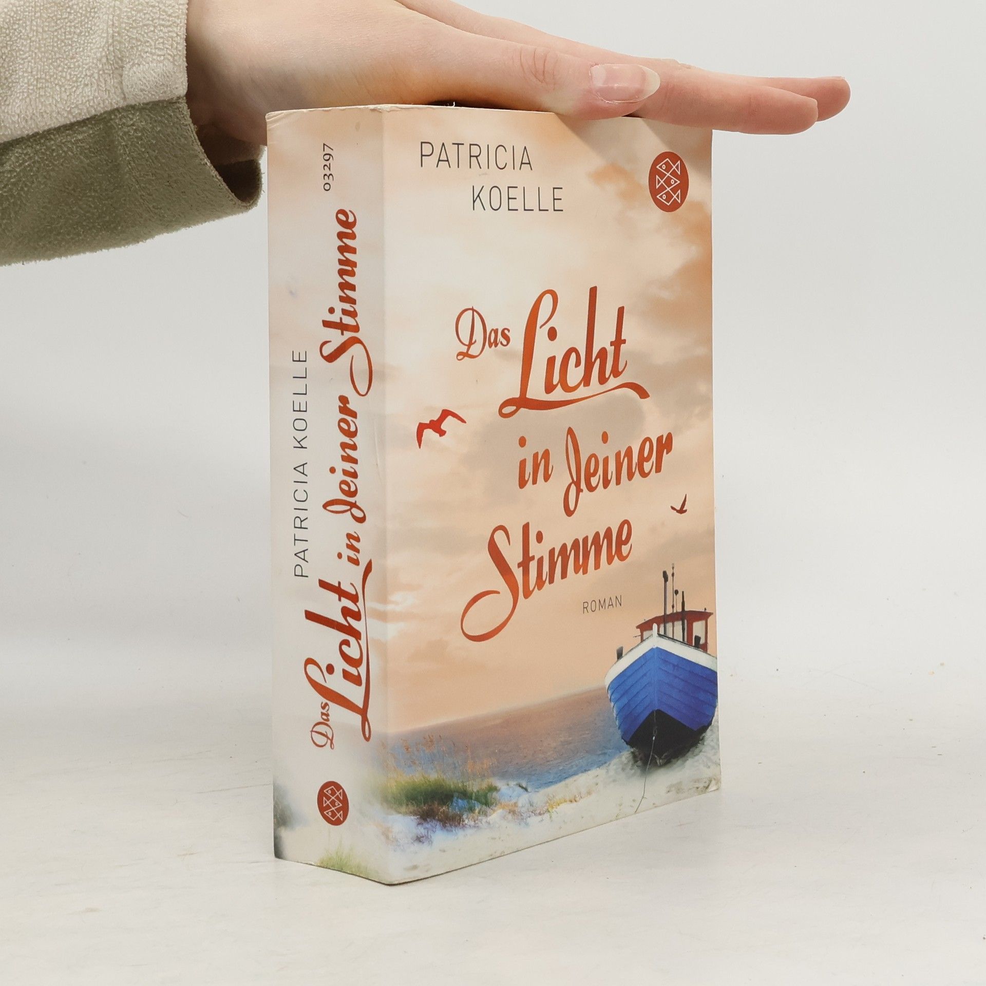 Patricia Koelle Das Licht in deiner Stimme
