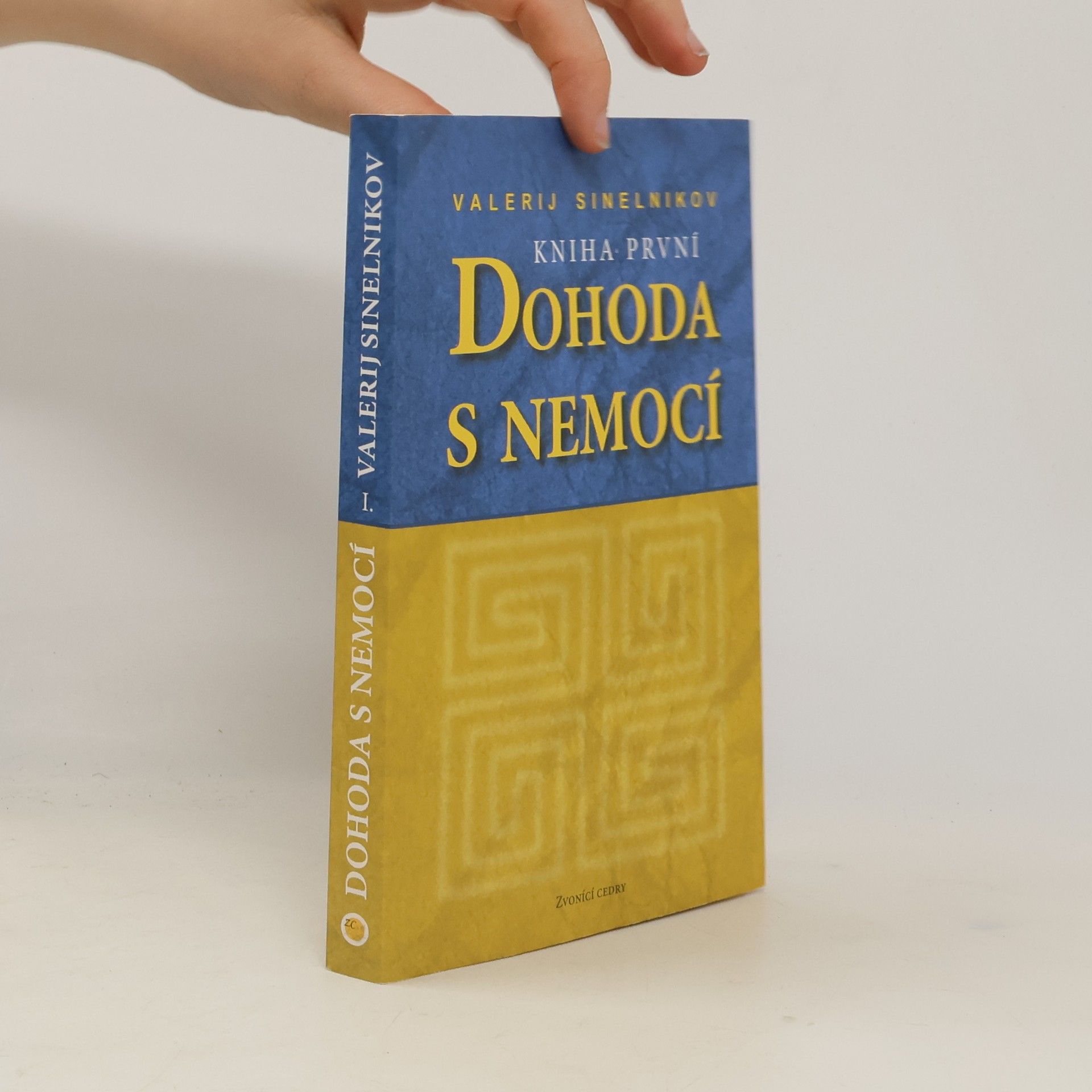 Valerij Vladimirovič Sinel‘nikov Dohoda s nemocí. Kniha první