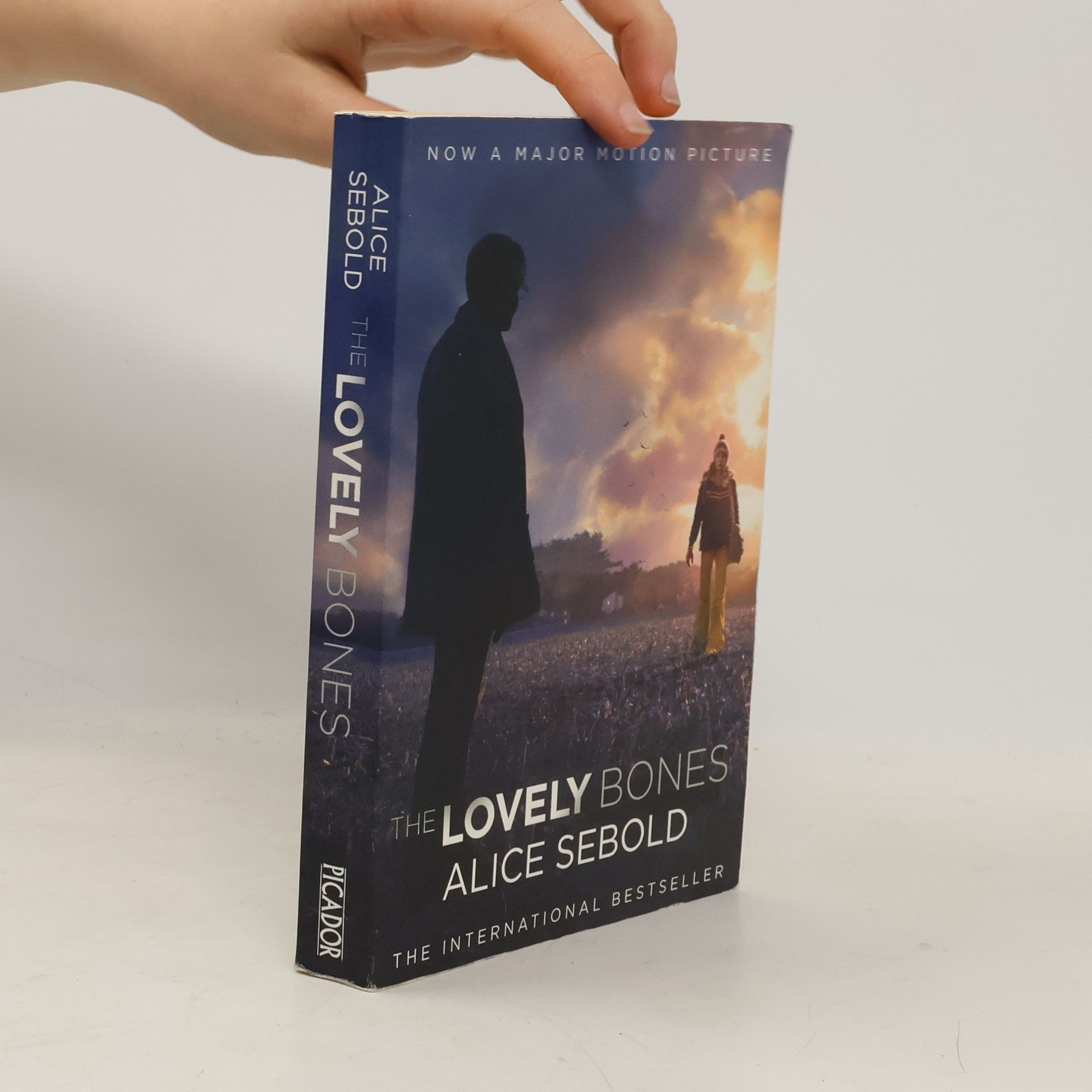 Alice Sebold The Lovely Bones