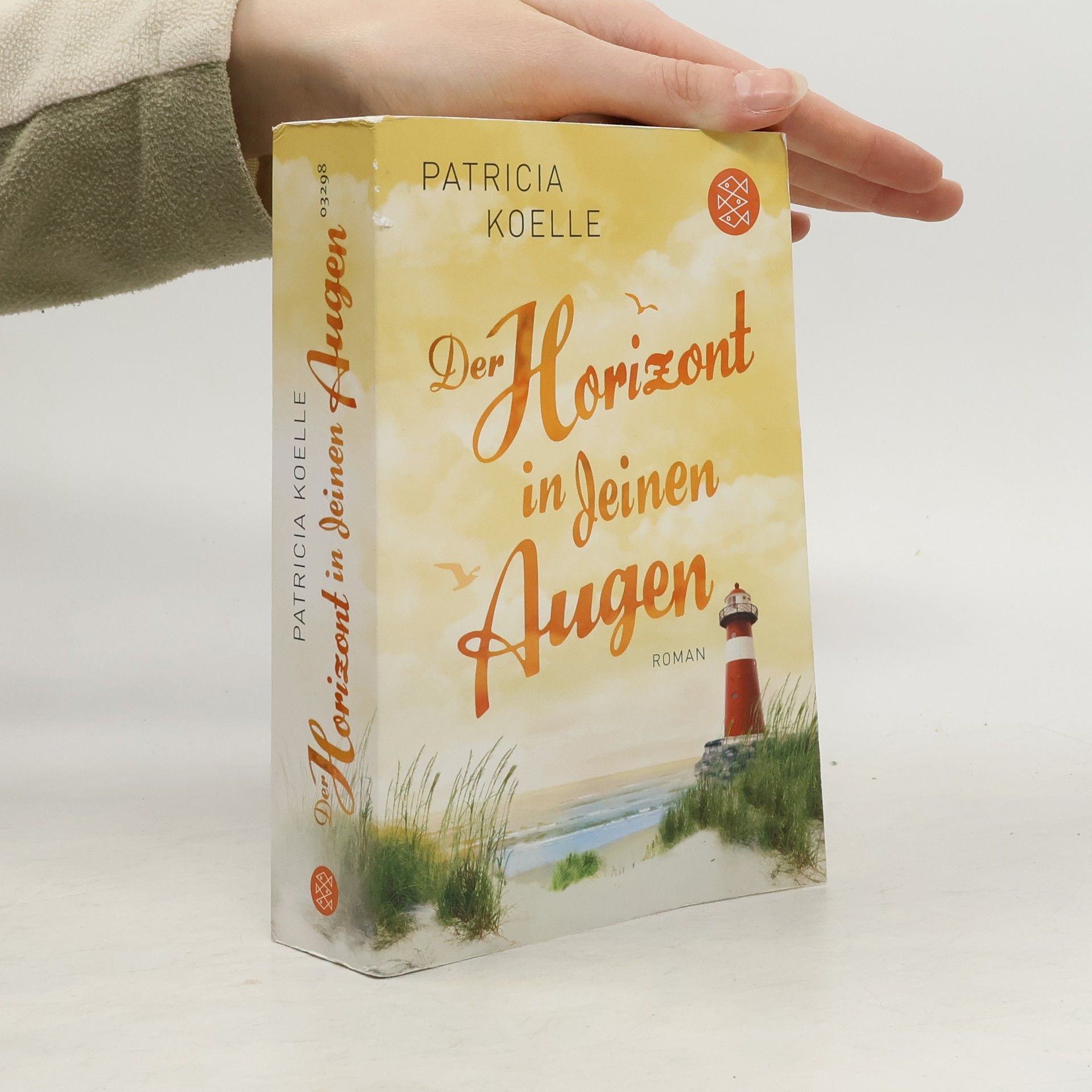 Patricia Koelle Der Horizont in deinen Augen