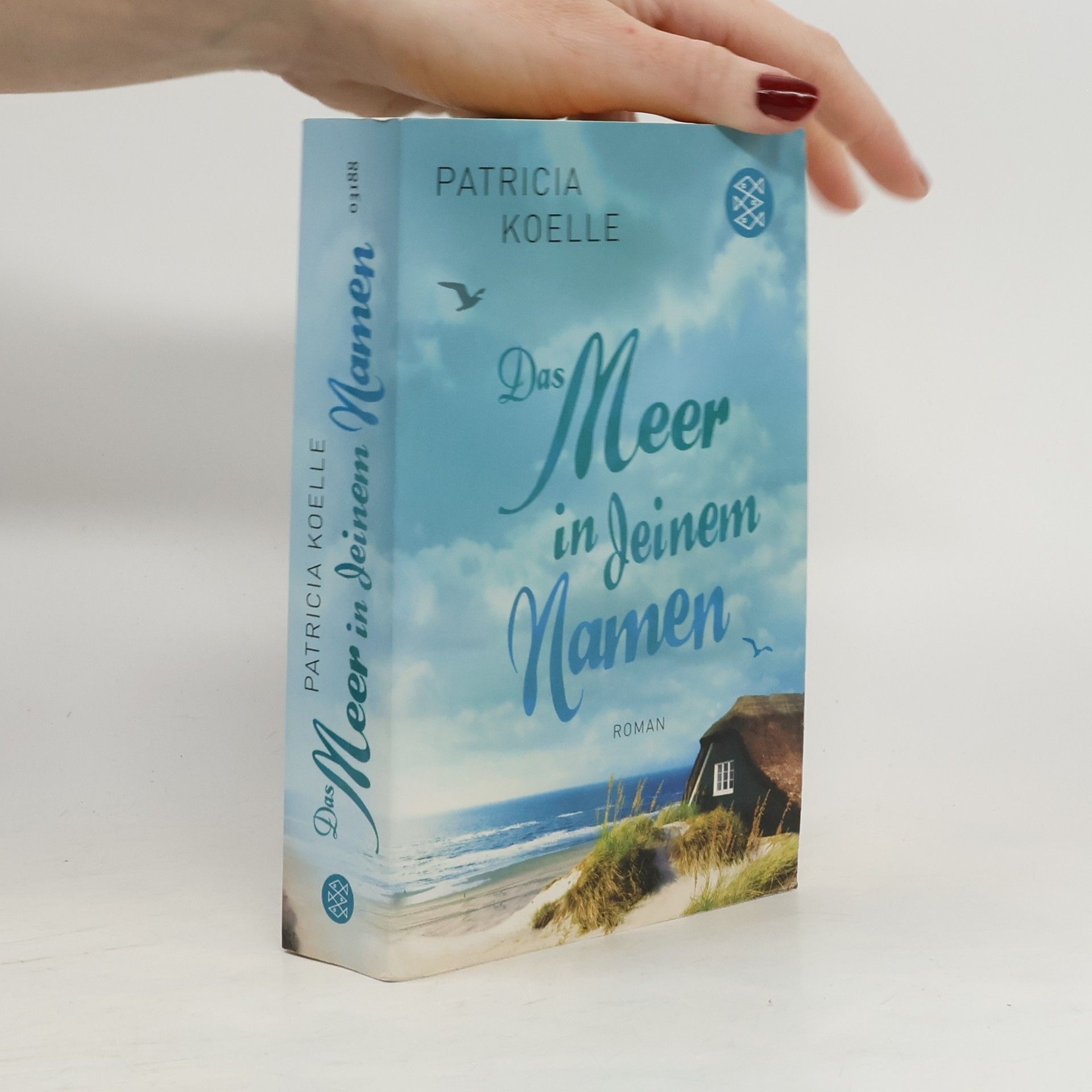 Patricia Koelle Das Meer in deinem Namen