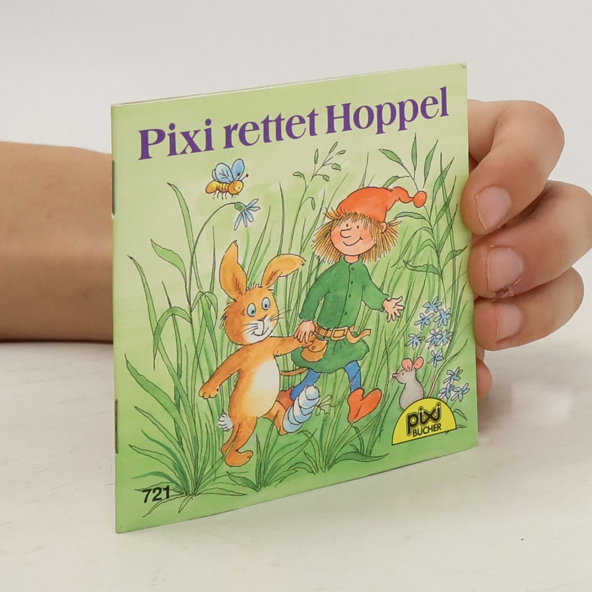 Kolektiv autorů Pixi geht auf große Fahrt