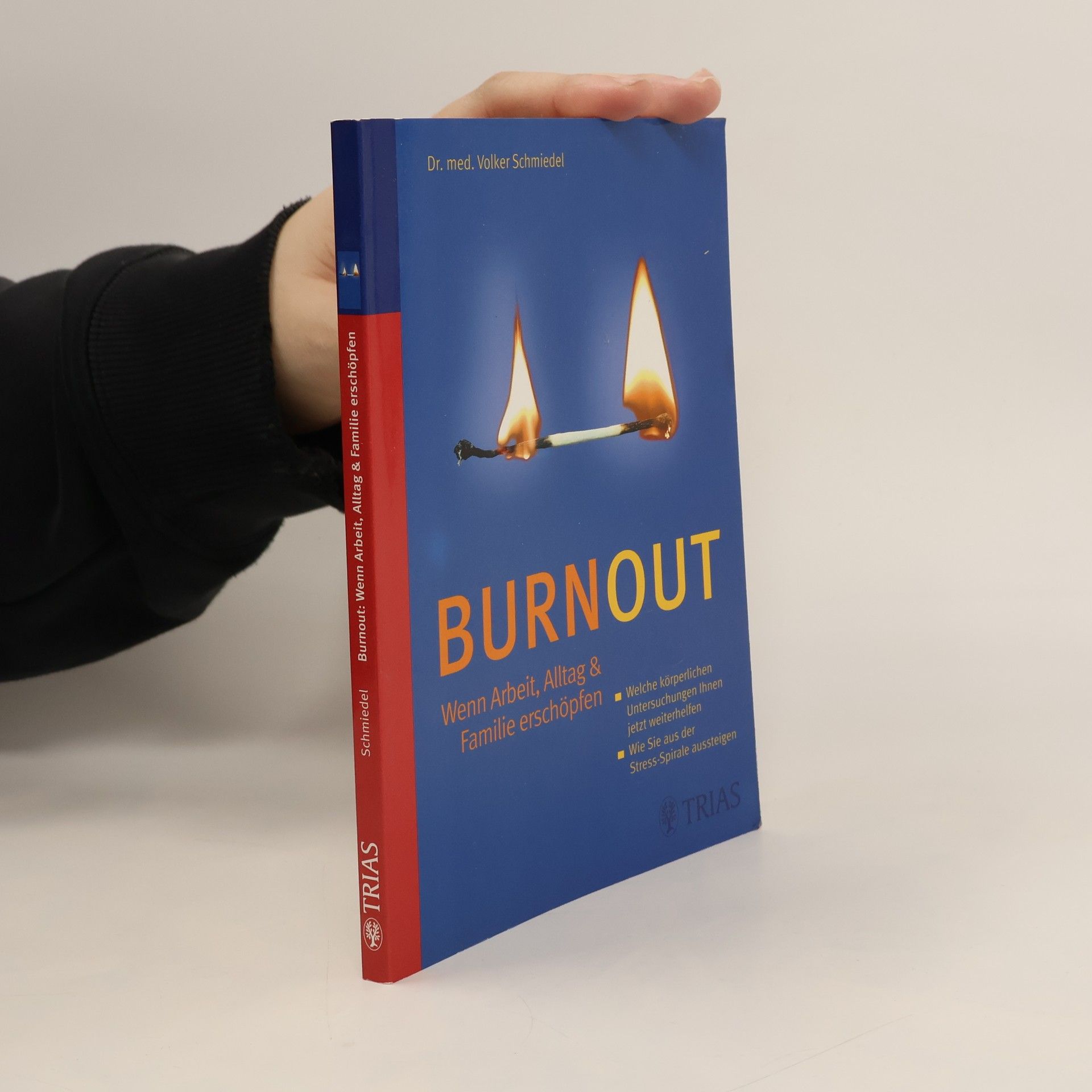 Volker Schmiedel Burnout