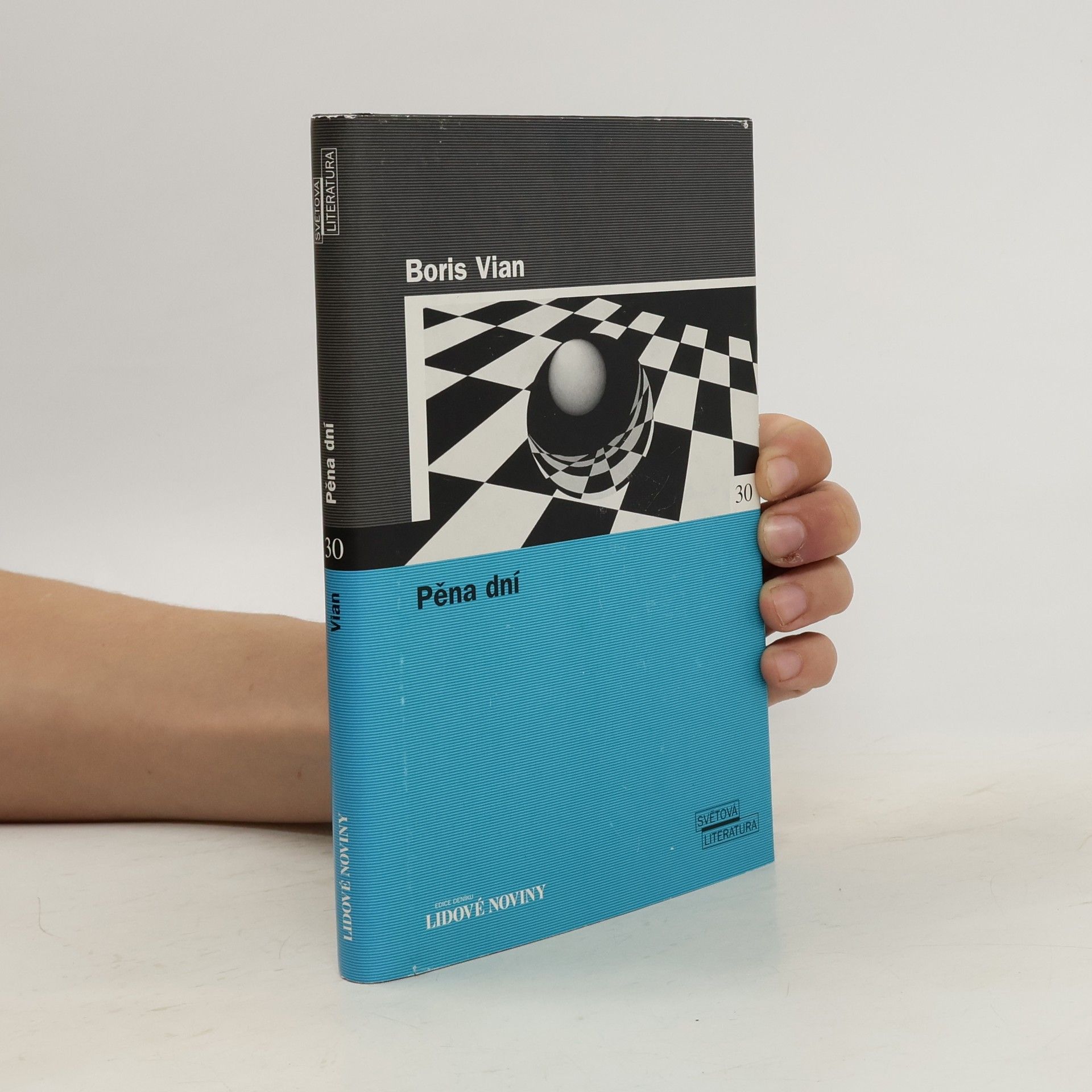 Boris Vian Pěna dní