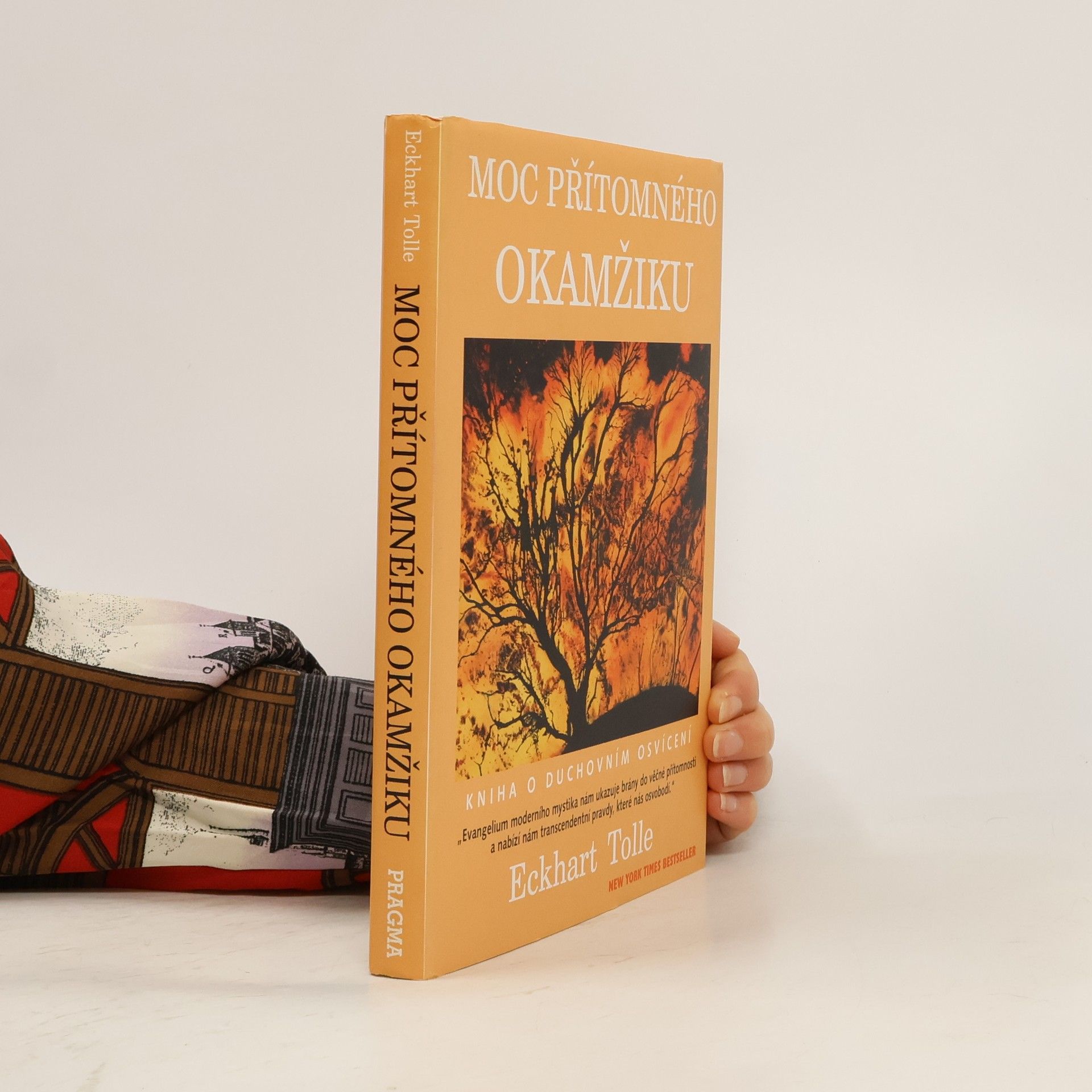 Eckhart Tolle Moc přítomného okamžiku