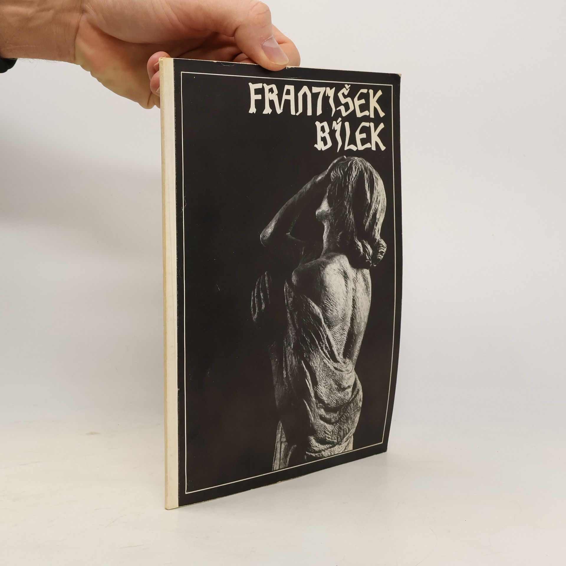 Kolektiv autorů František Bílek