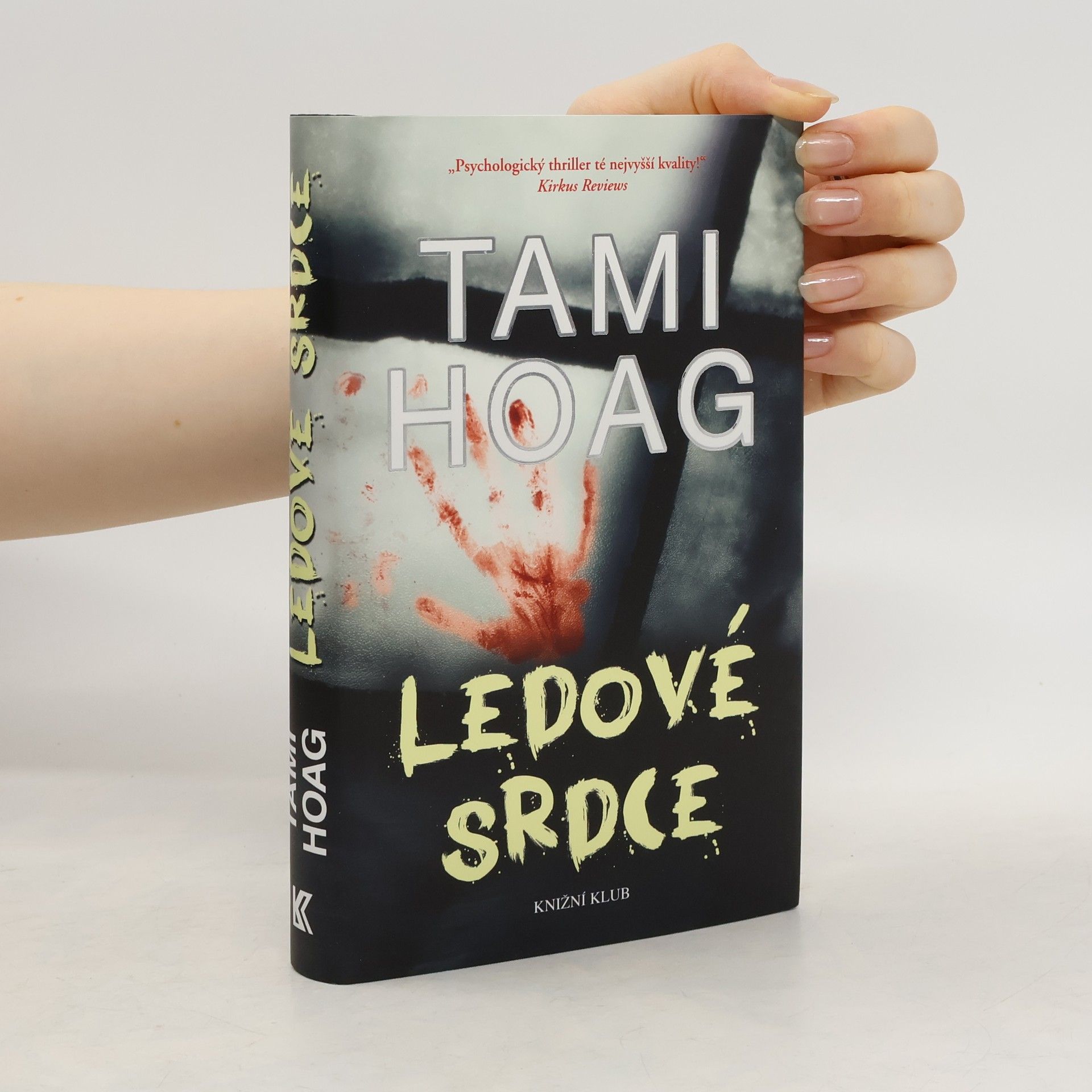 Tami Hoag Ledové srdce