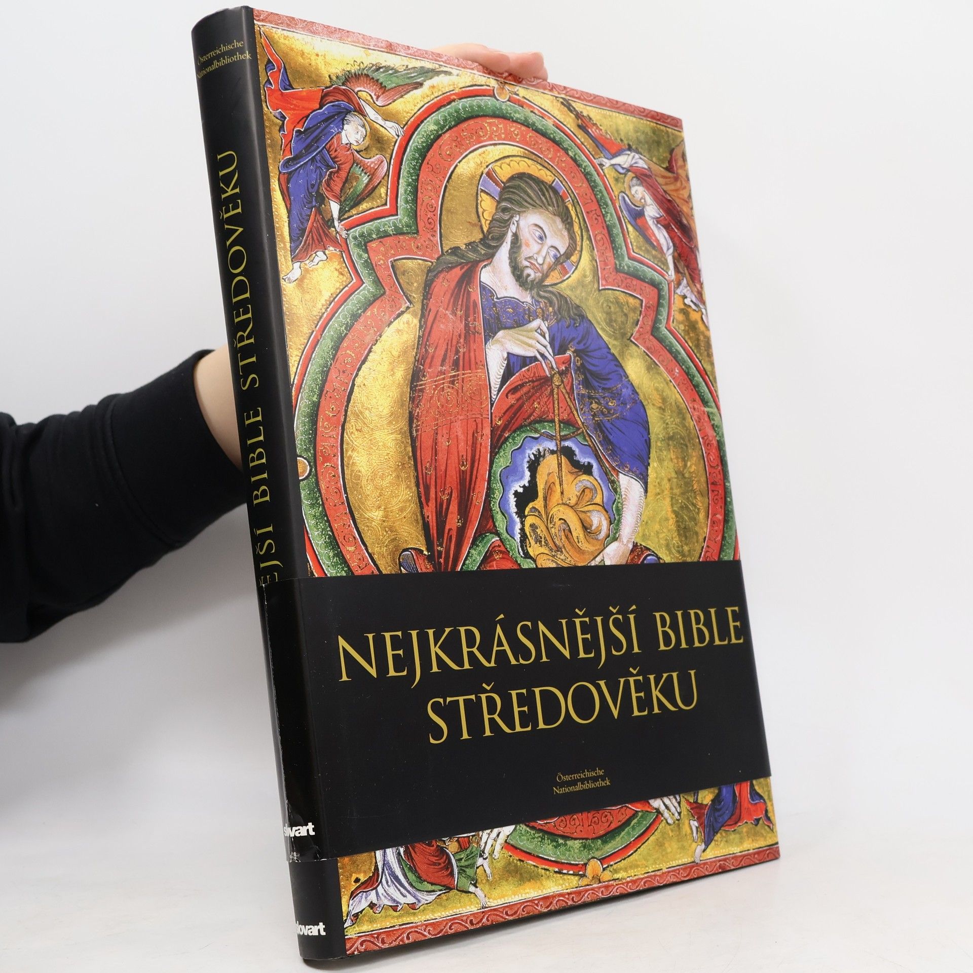 Andreas Fingernagel Nejkrásnější bible středověku
