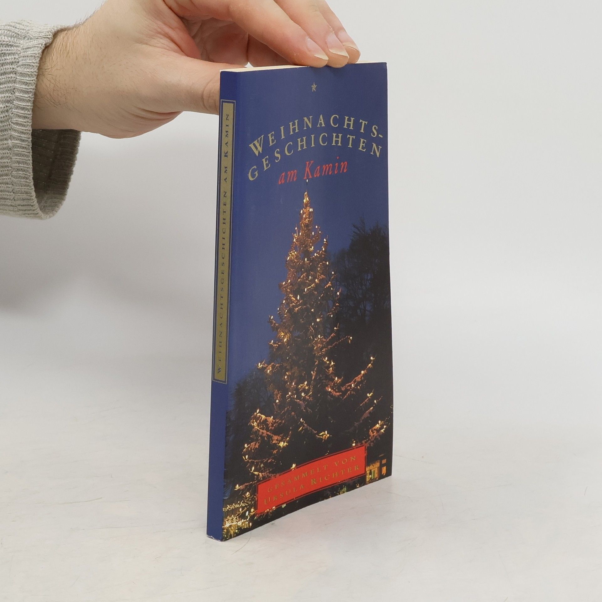 Ursula Richter Weihnachtsgeschichten am Kamin