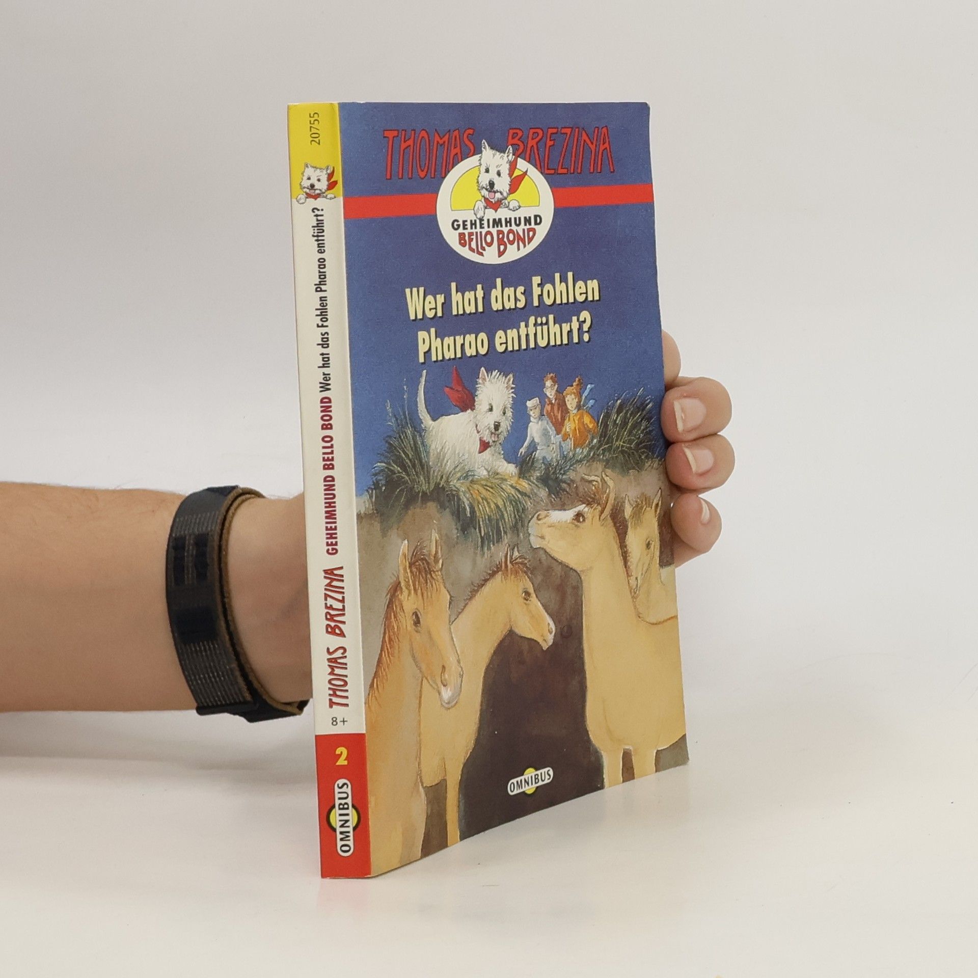 Wer hat das Fohlen Pharao entführt?