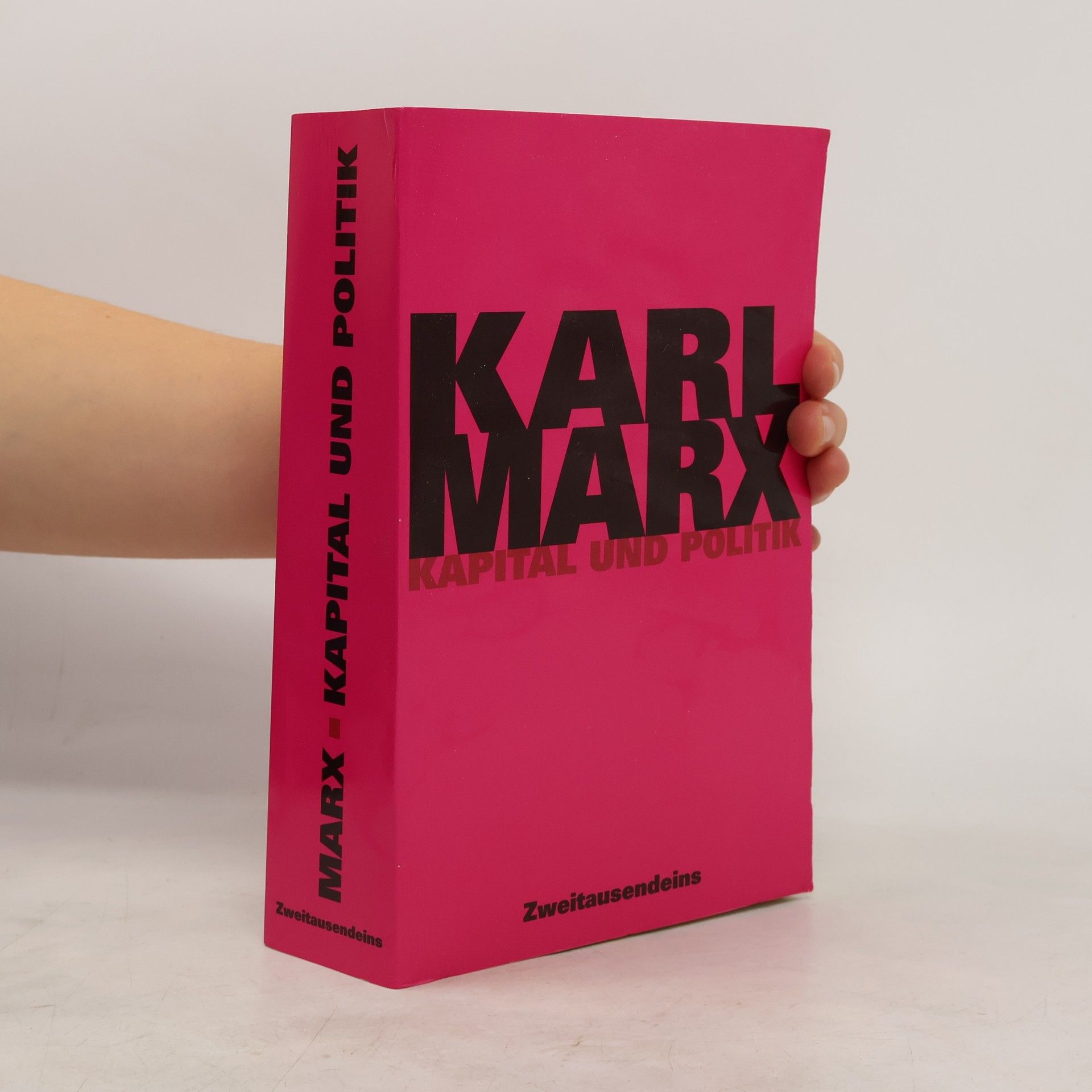 Karl Marx Kapital und Politik