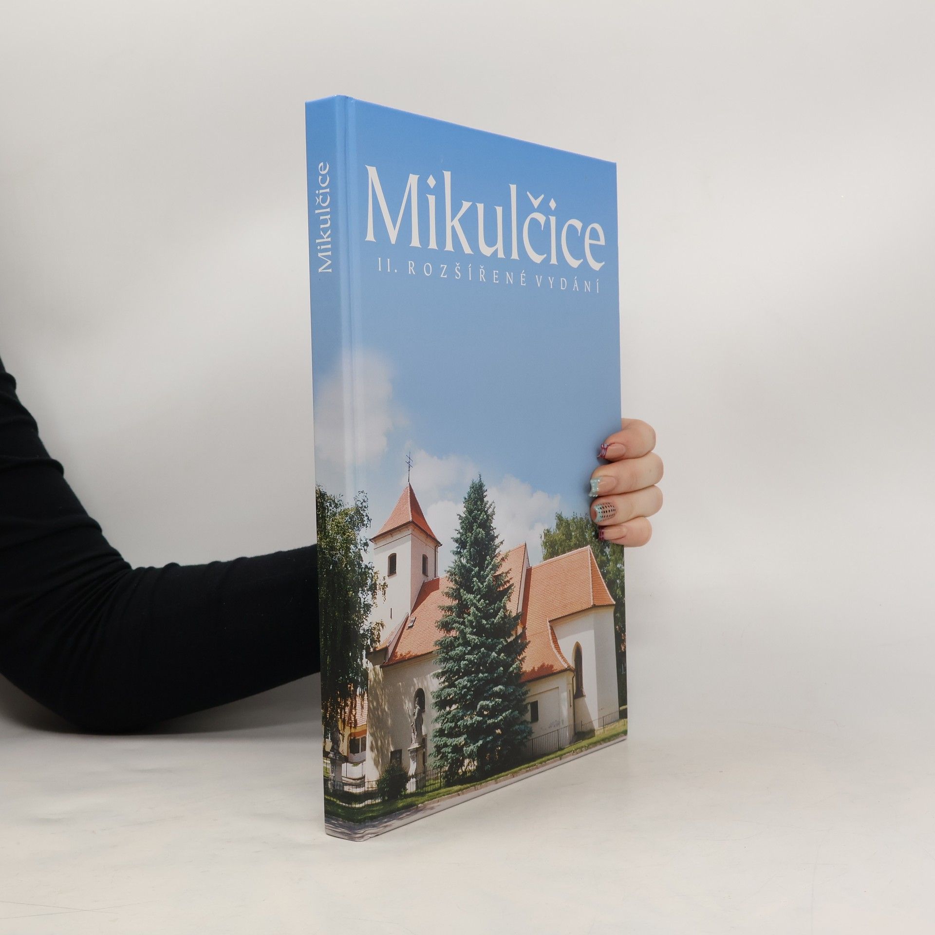 Kolektiv autorů Mikulčice