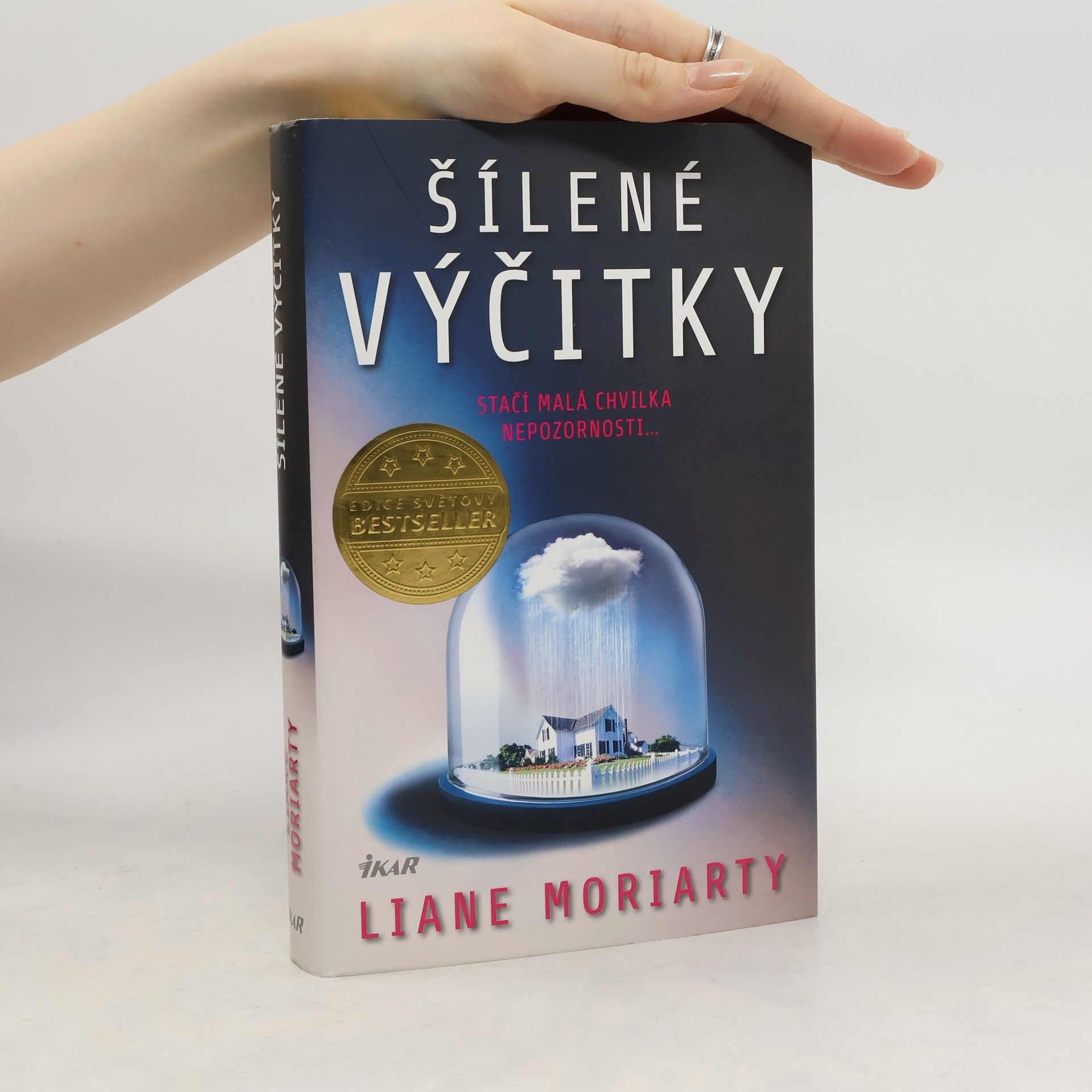 Liane Moriarty Šílené výčitky