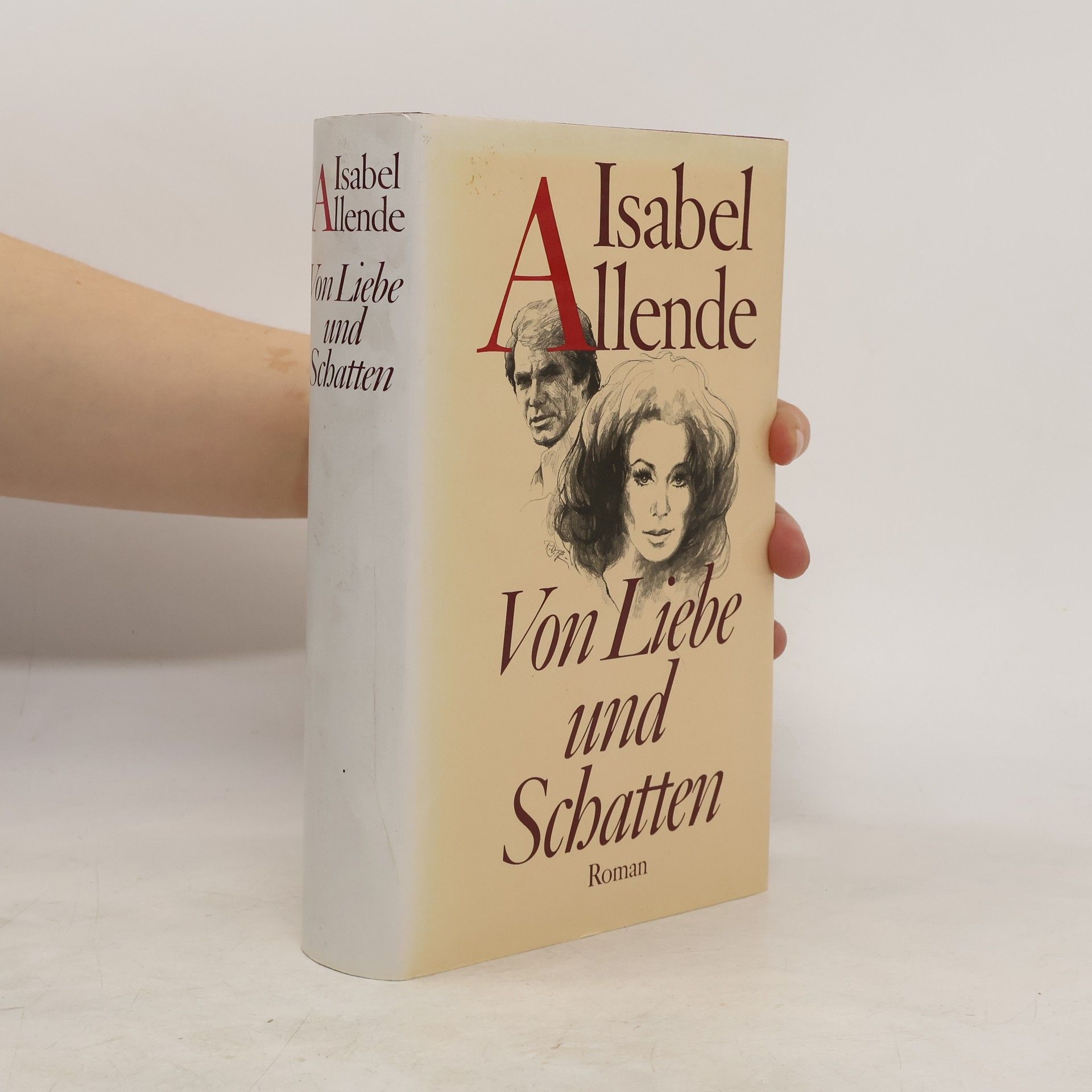 Isabel Allende Llona Von Liebe und Schatten