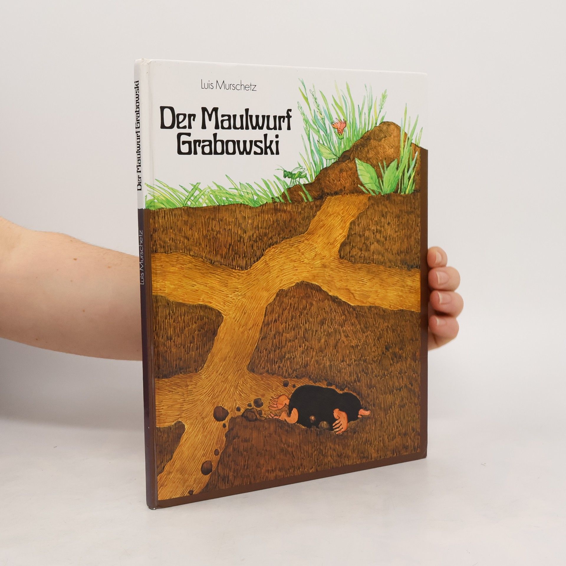 Luis Murschetz Der Maulwurf Grabowski