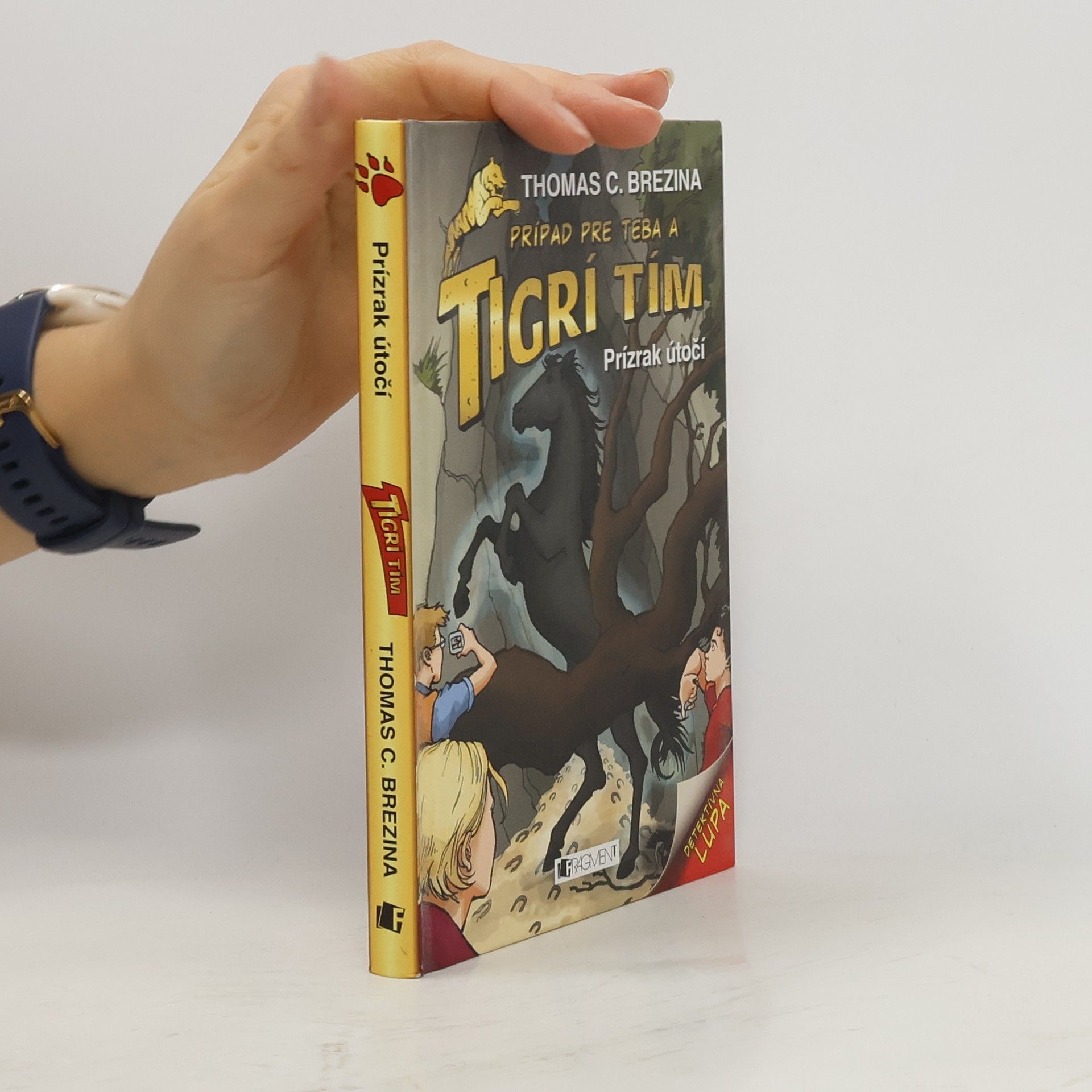 Thomas Brezina Prízrak útočí. Prípad pre teba a Tigrí tím