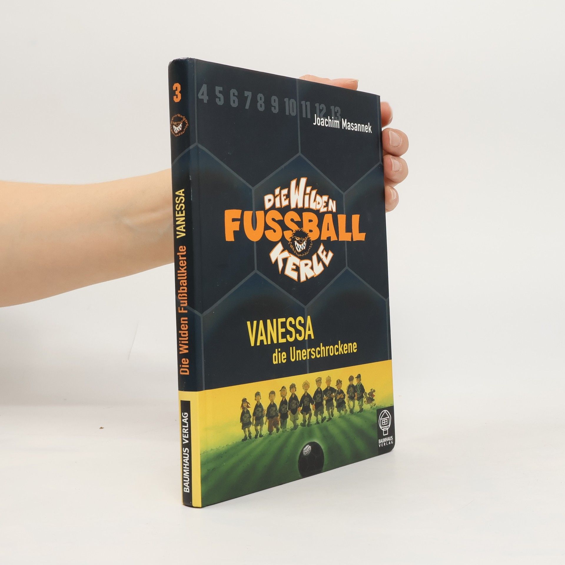 Die wilden Fußballkerle. Vanessa die Unerschrockene