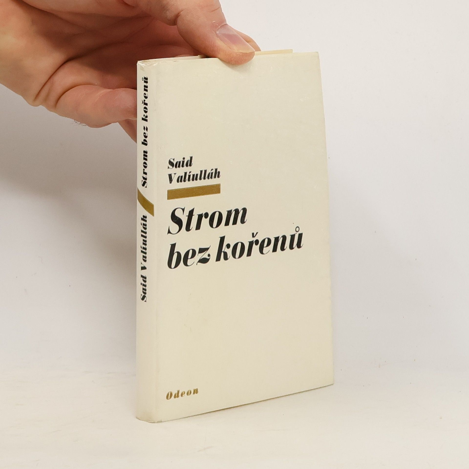 Valíulláh Said Strom bez kořenů