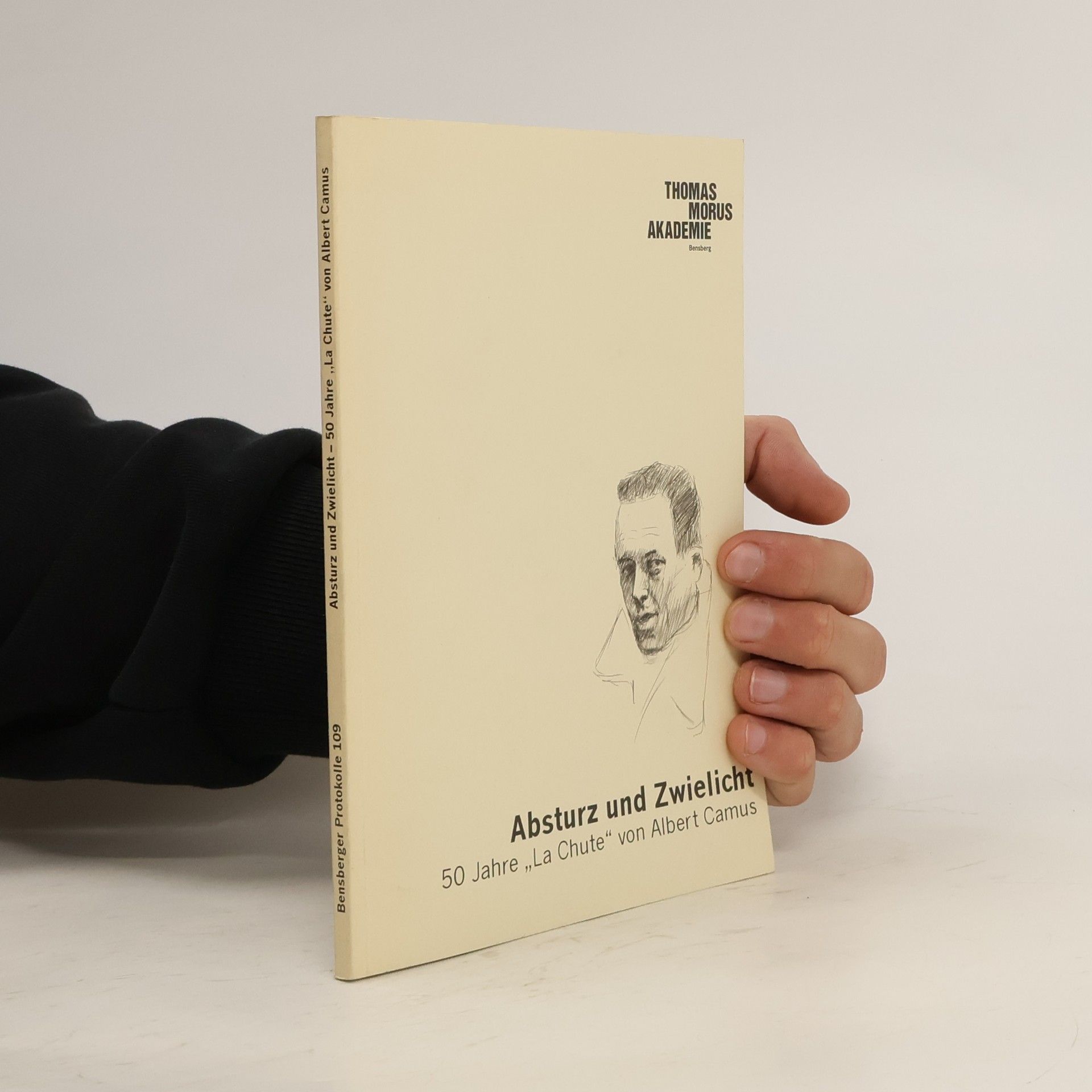 Autorenkollektiv Bensberger Protokolle - 109: Absturz und Zwielicht