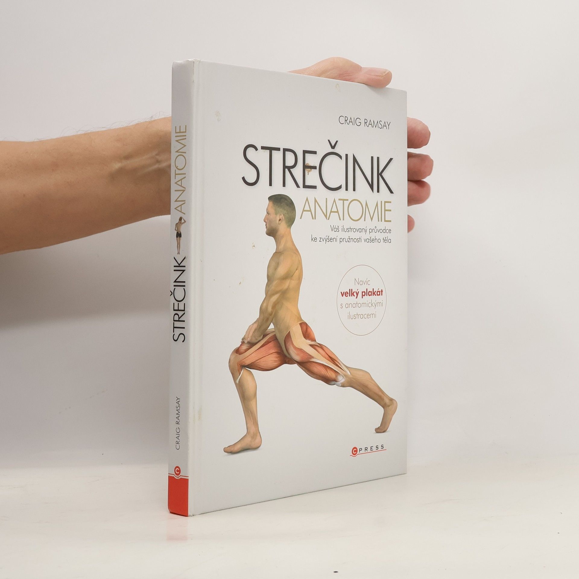 Strečink - anatomie