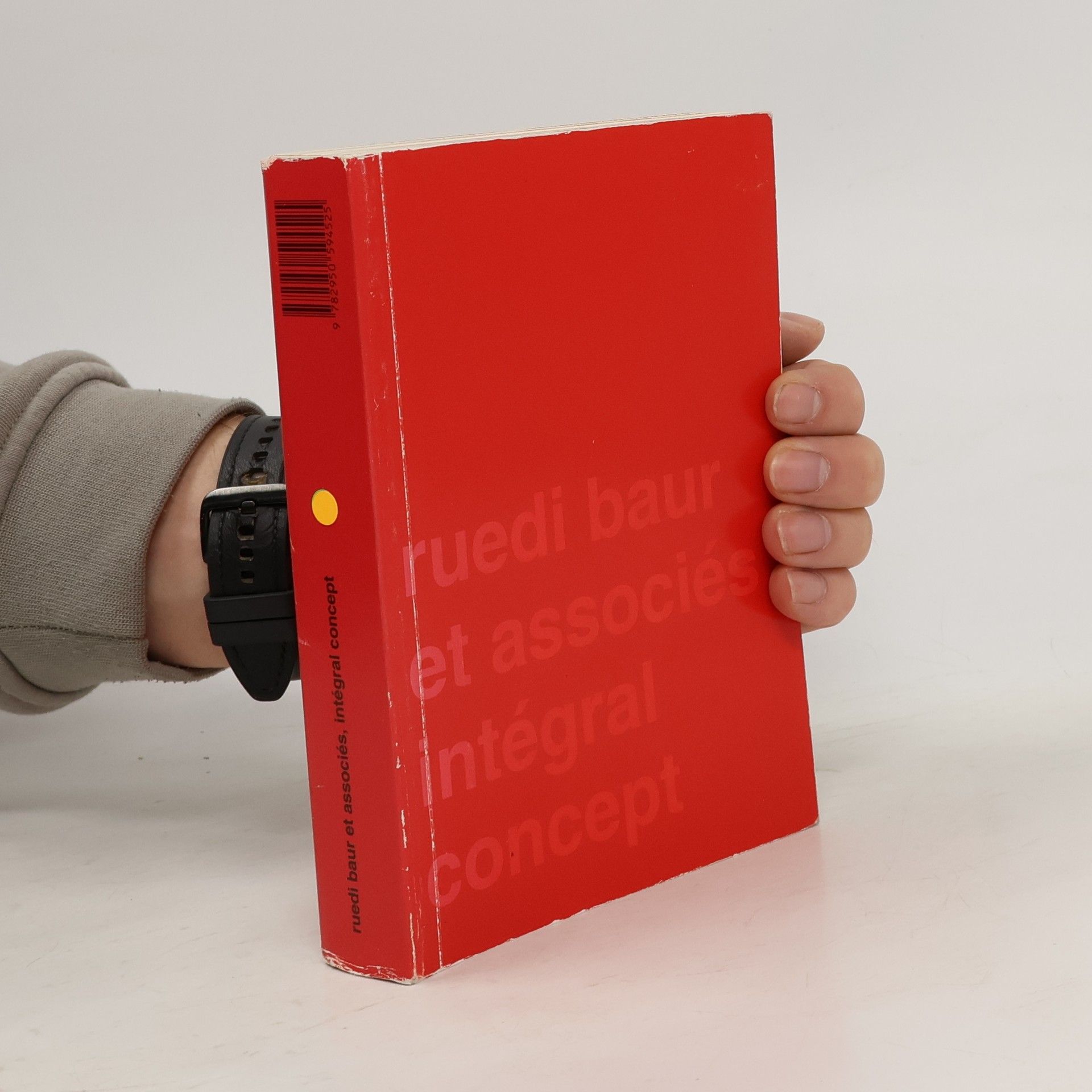 Ruedi Baur, Intégral concept