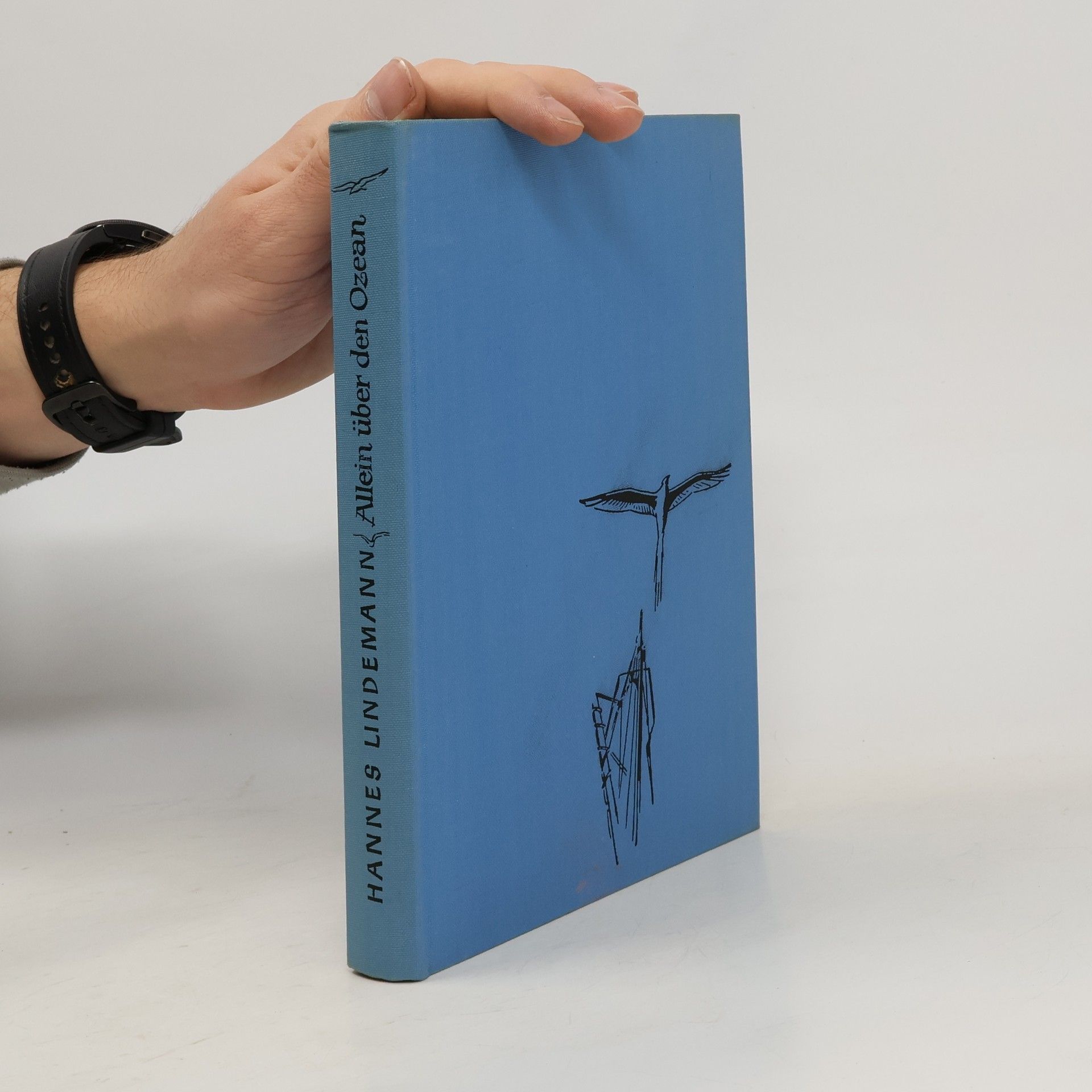 Allein über den Ozean