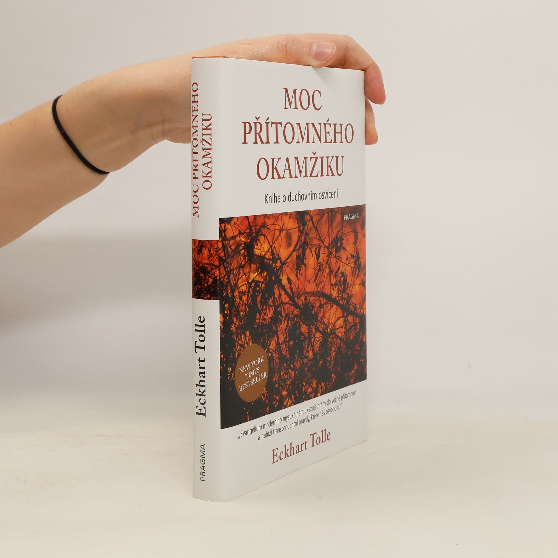 Eckhart Tolle Moc přítomného okamžiku