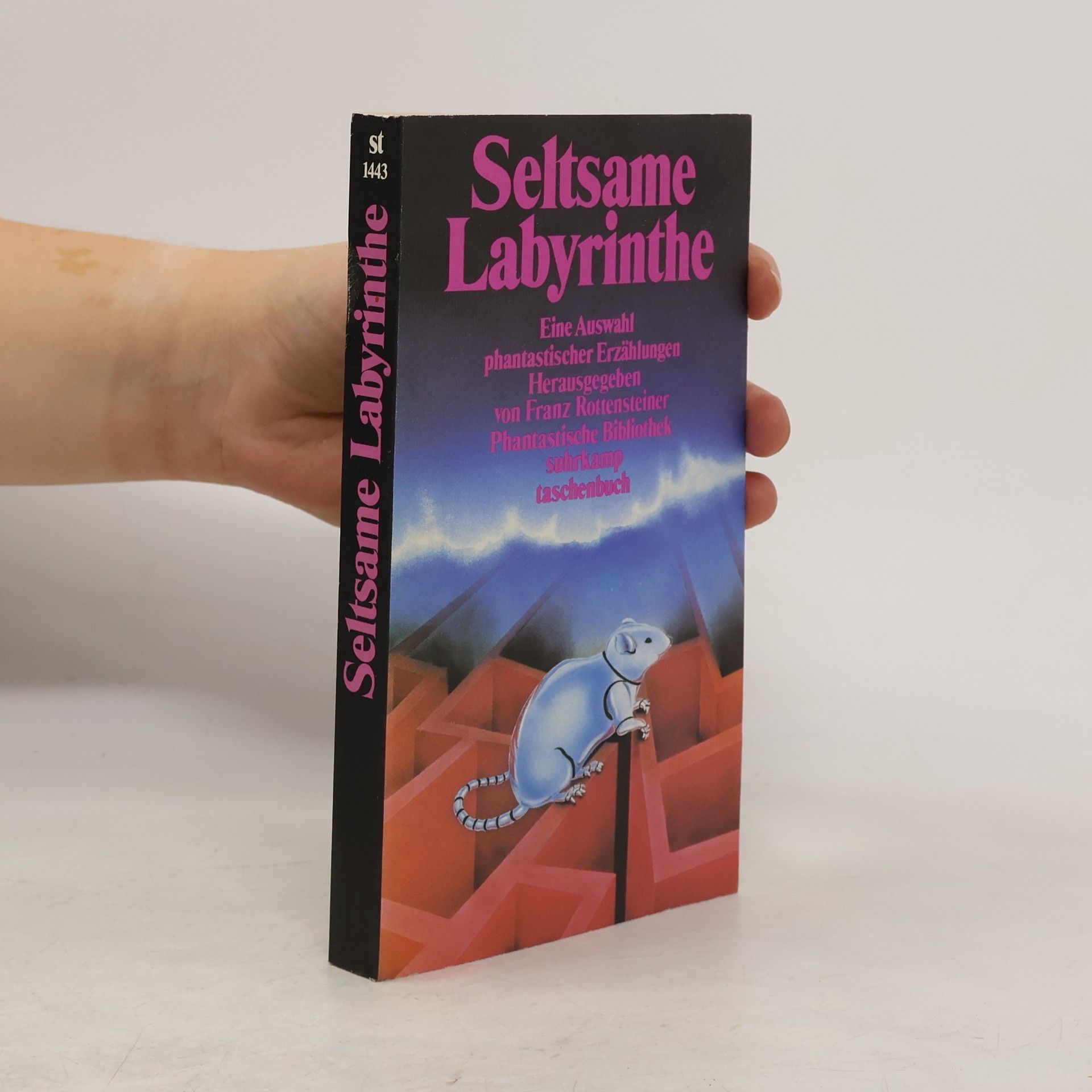 Franz Rottensteiner Seltsame Labyrinthe