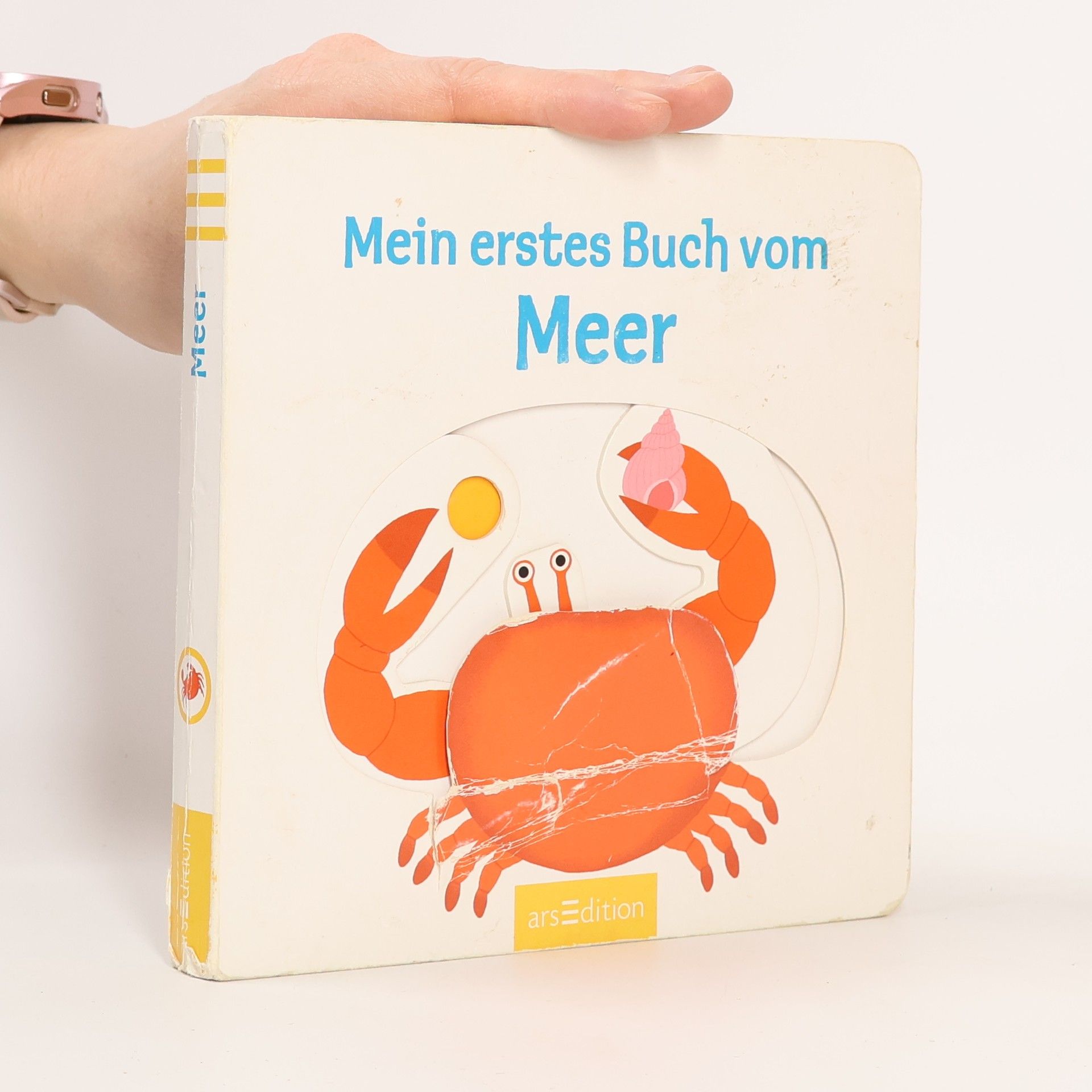 Nathalie Choux Mein erstes Buch vom Meer