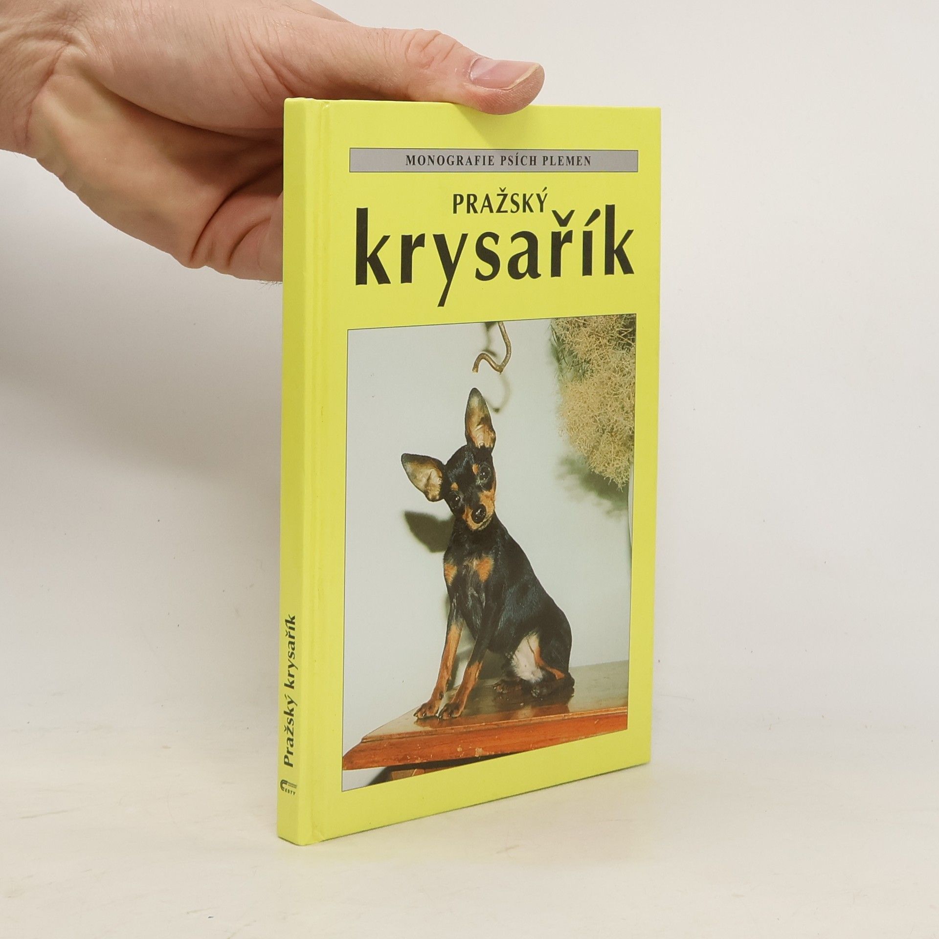 Pražský krysařík