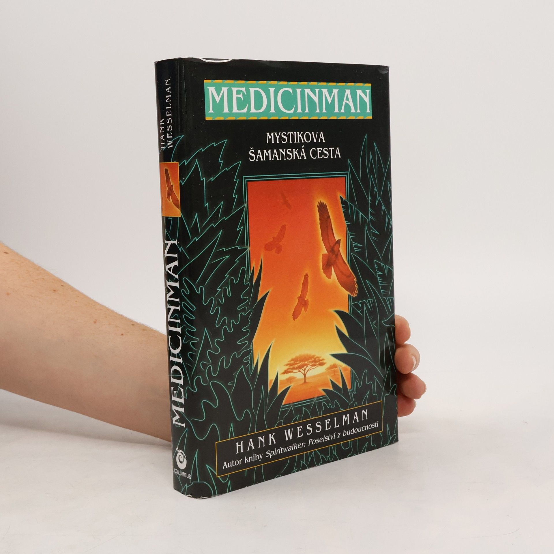 Medicinman. Mystik se vydává na šamanskou cestu