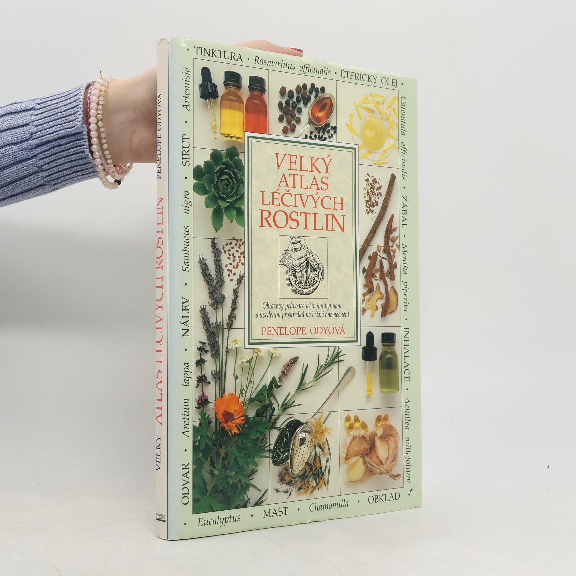 Pénélope Ody Velký atlas léčivých rostlin : obrazový průvodce léčivými bylinami s uvedením prostředků na běžná onemocnění
