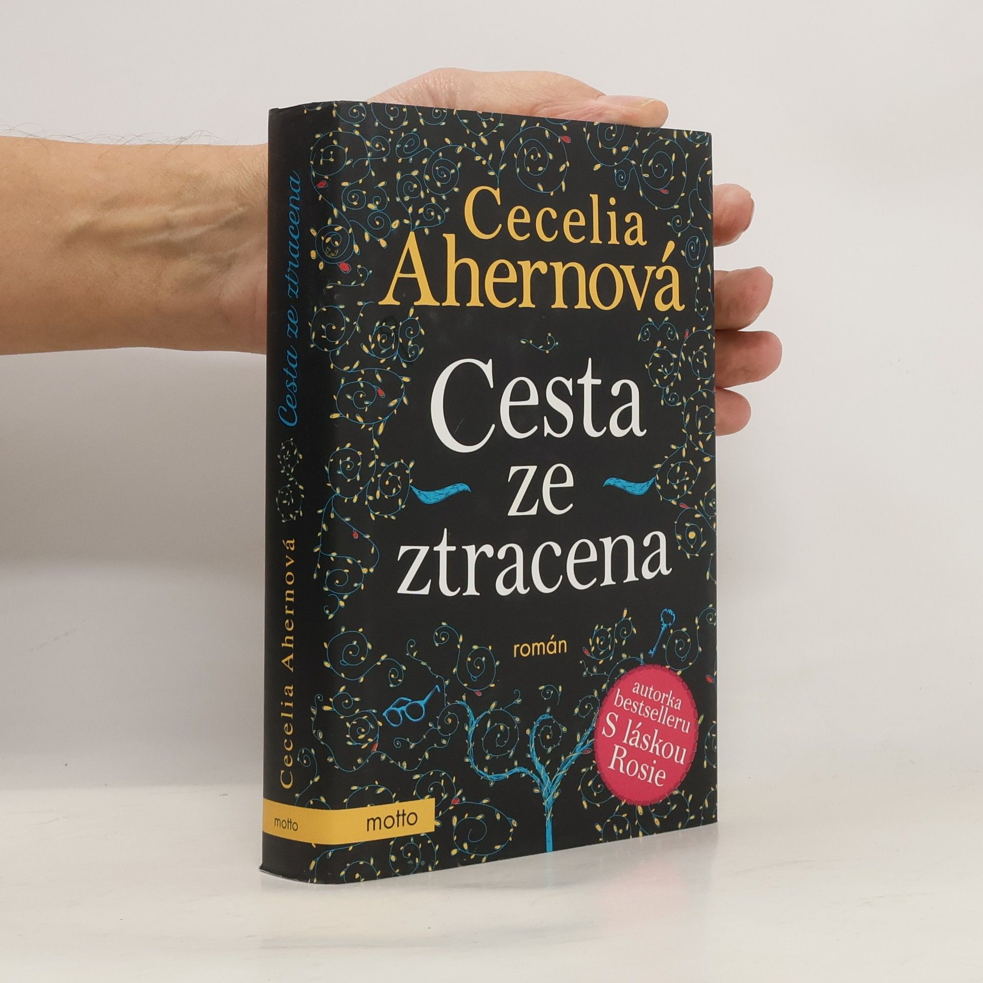 Cecelia Ahern Cesta ze ztracena