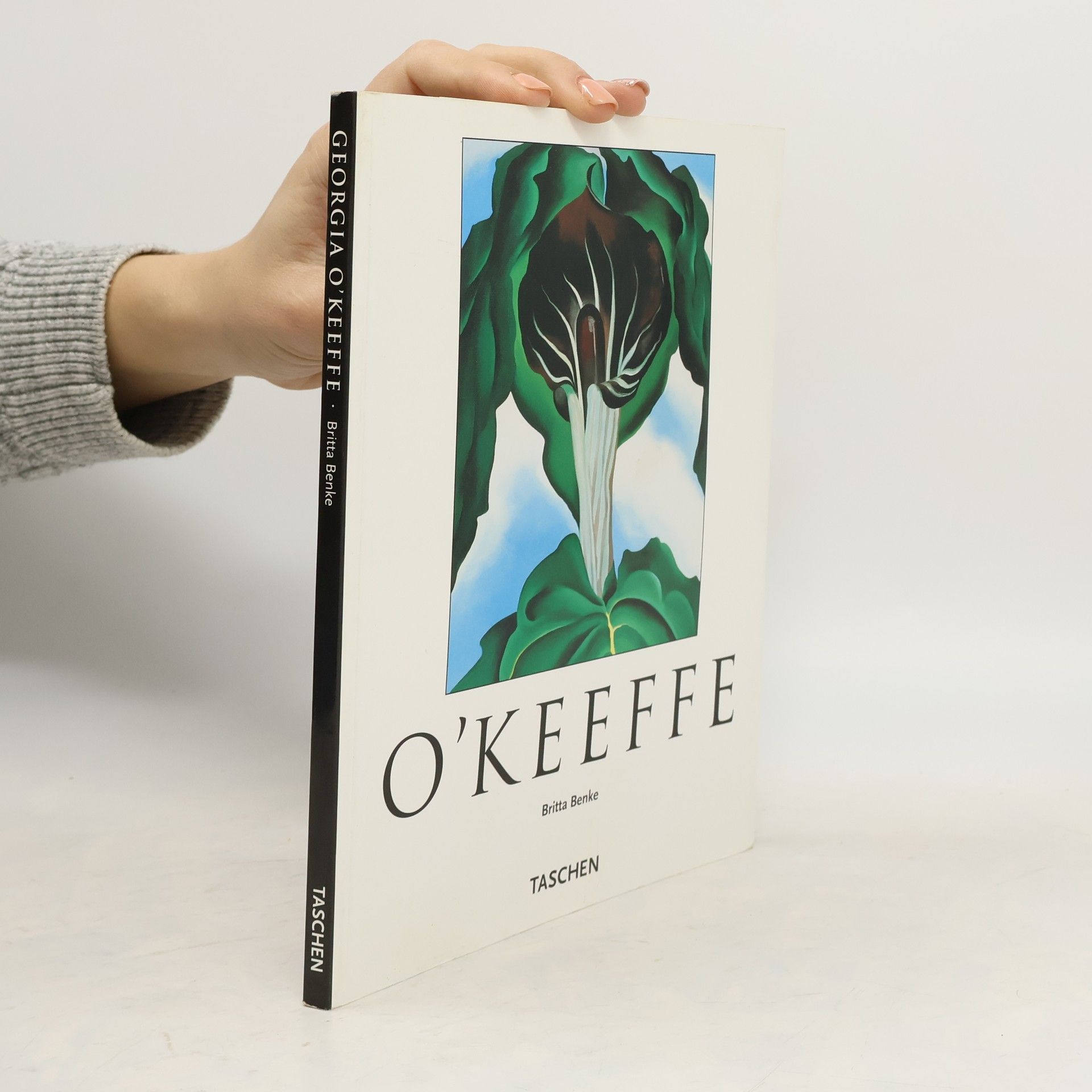 O'Keeffe. Kleine Reihe - Kunst