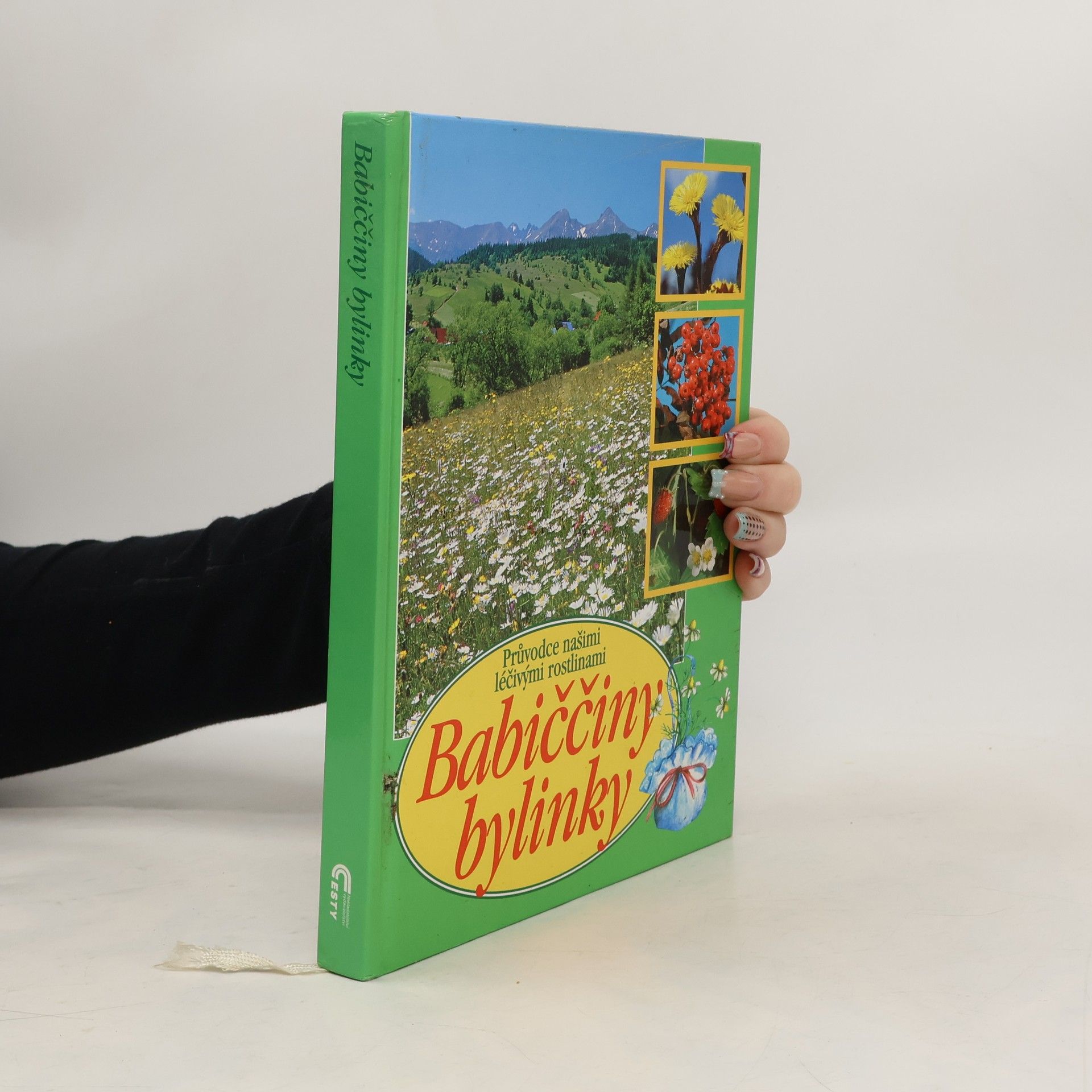 Babiččiny bylinky: Průvodce našimi léčivými rostlinami