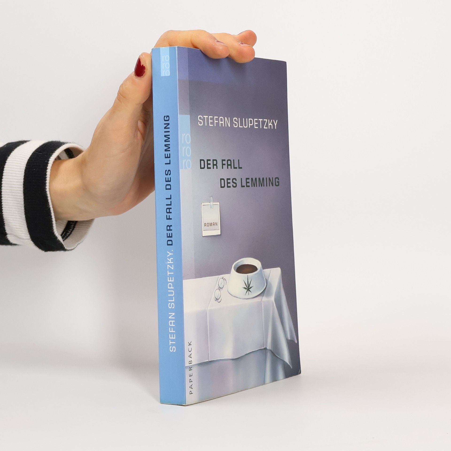 Stefan Slupetzky Der Fall des Lemming