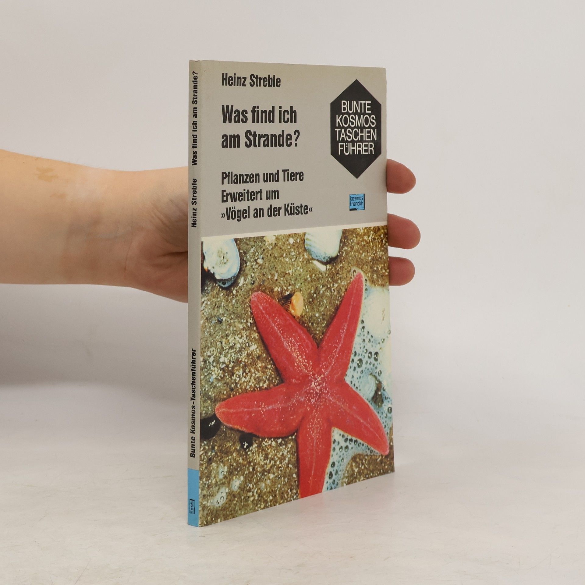 Was find ich am Strande?