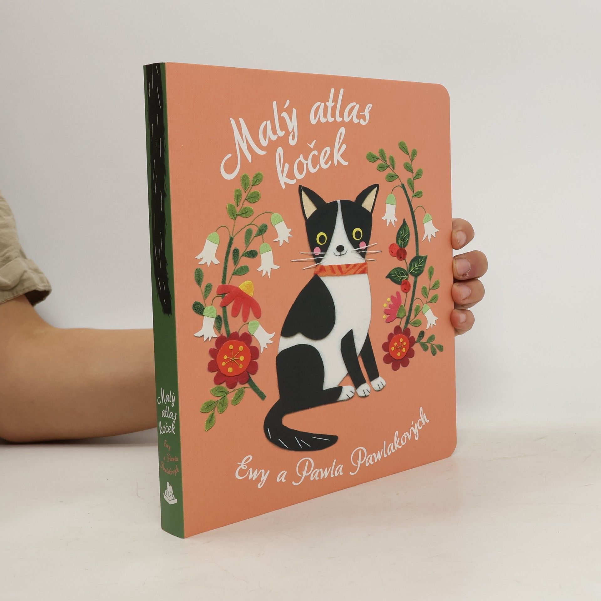Malý atlas koček