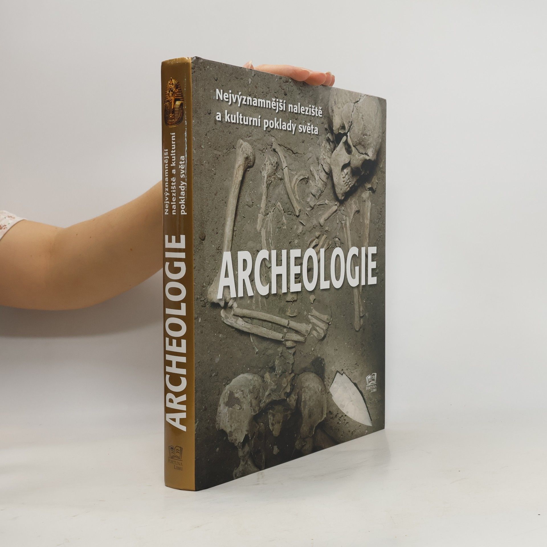 Bahram Ajorloo Archeologie: Nejvýznamnější naleziště a kulturní poklady světa