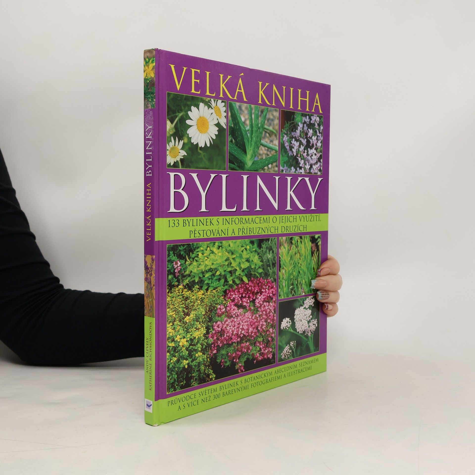 A. M. Clevely Bylinky. Velká kniha