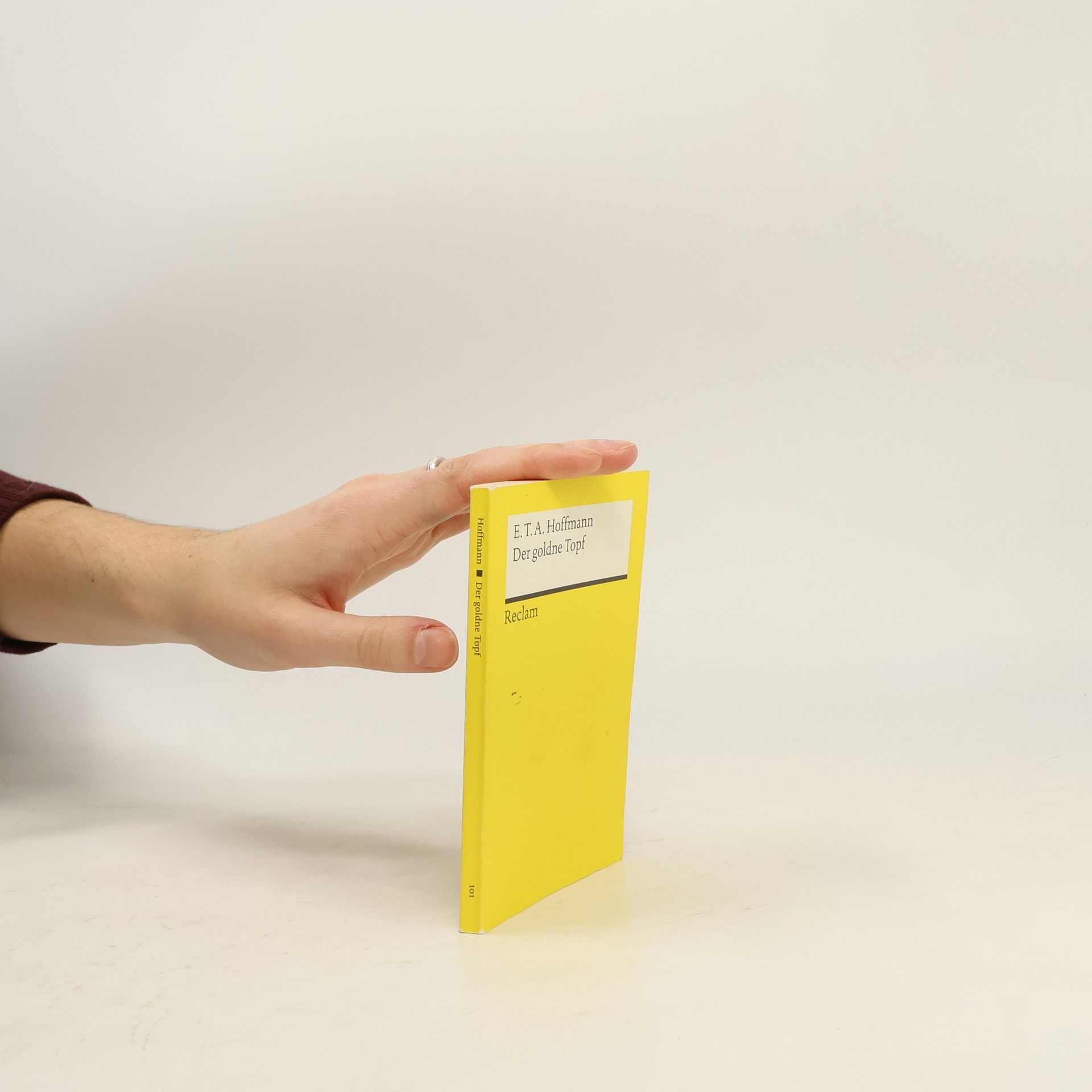 E. T. A. Hoffmann Der Goldne Topf