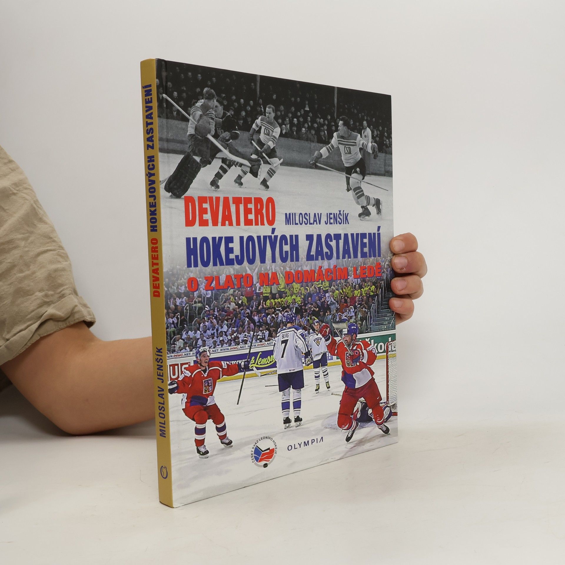 Devatero hokejových zastavení