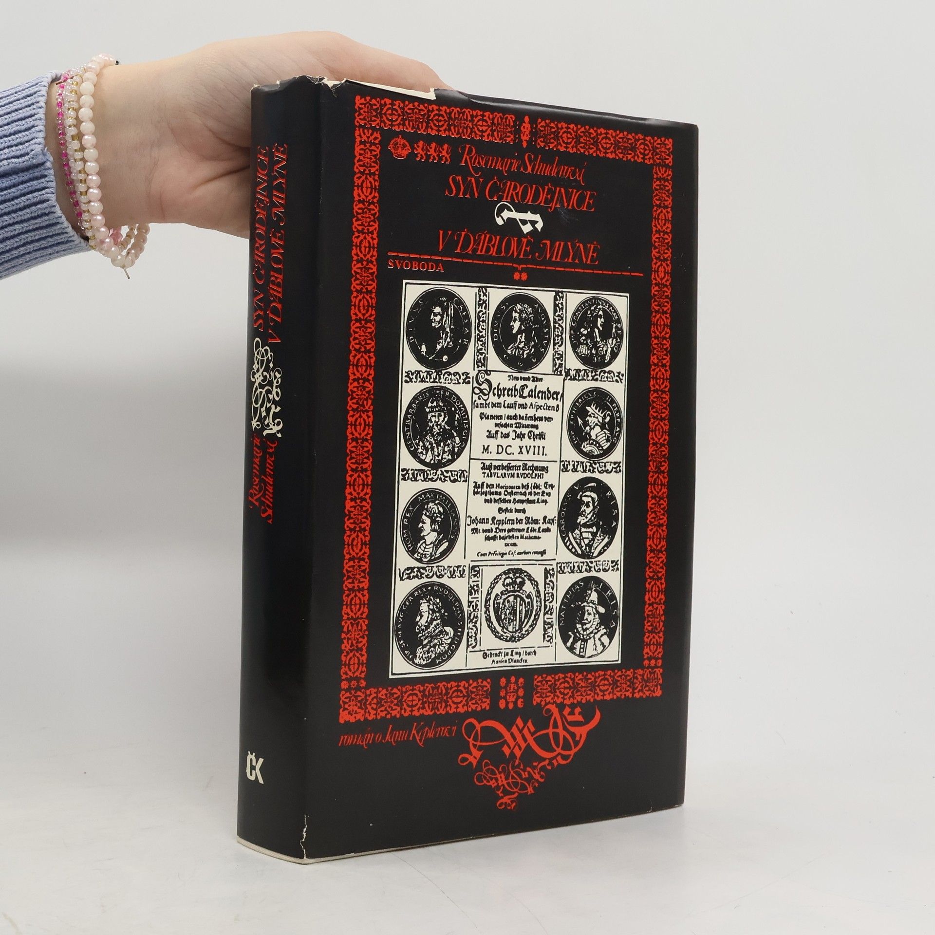 Rosemarie Schuder Syn čarodějnice. V ďáblově mlýně