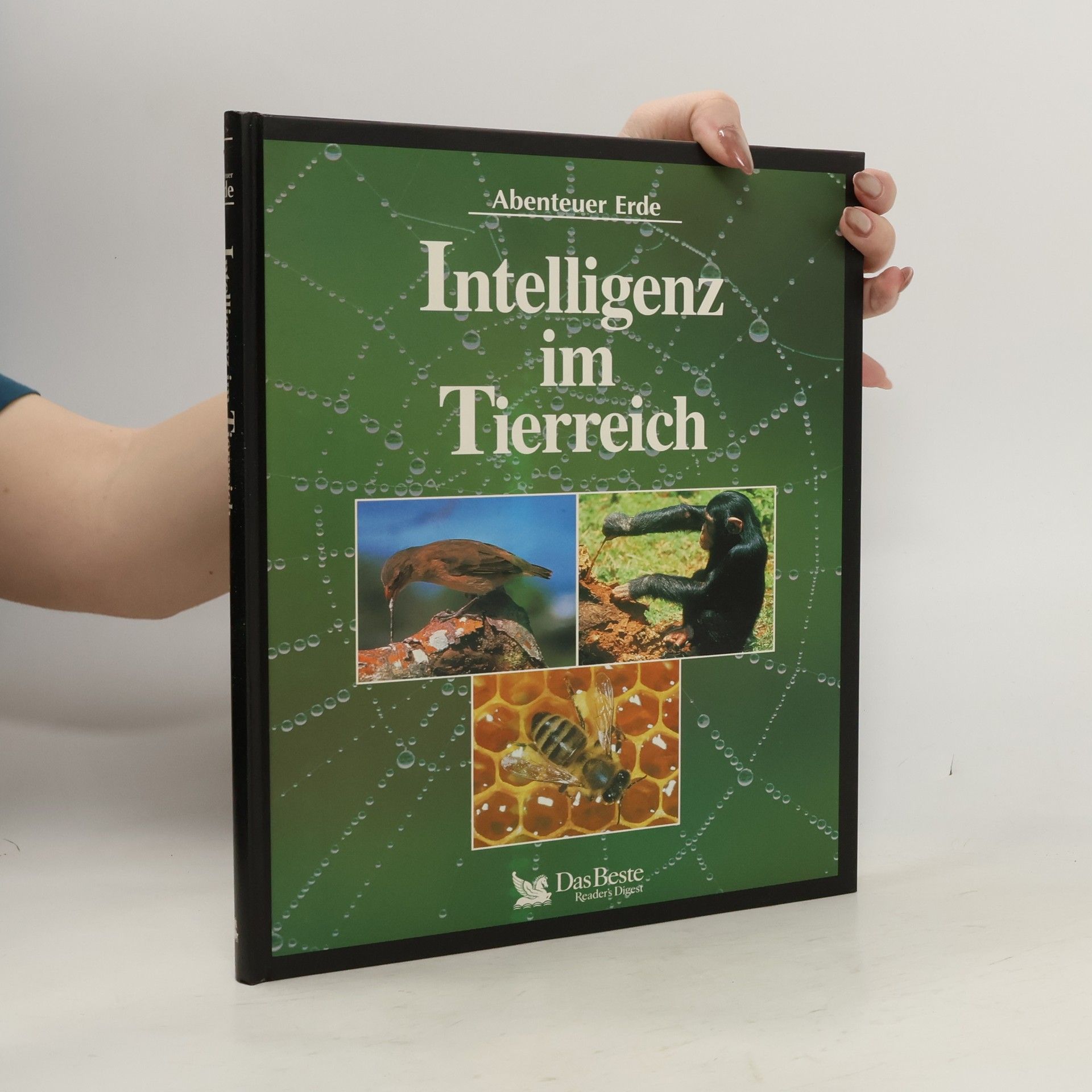 Autorenkollektiv Intelligenz im Tierreich