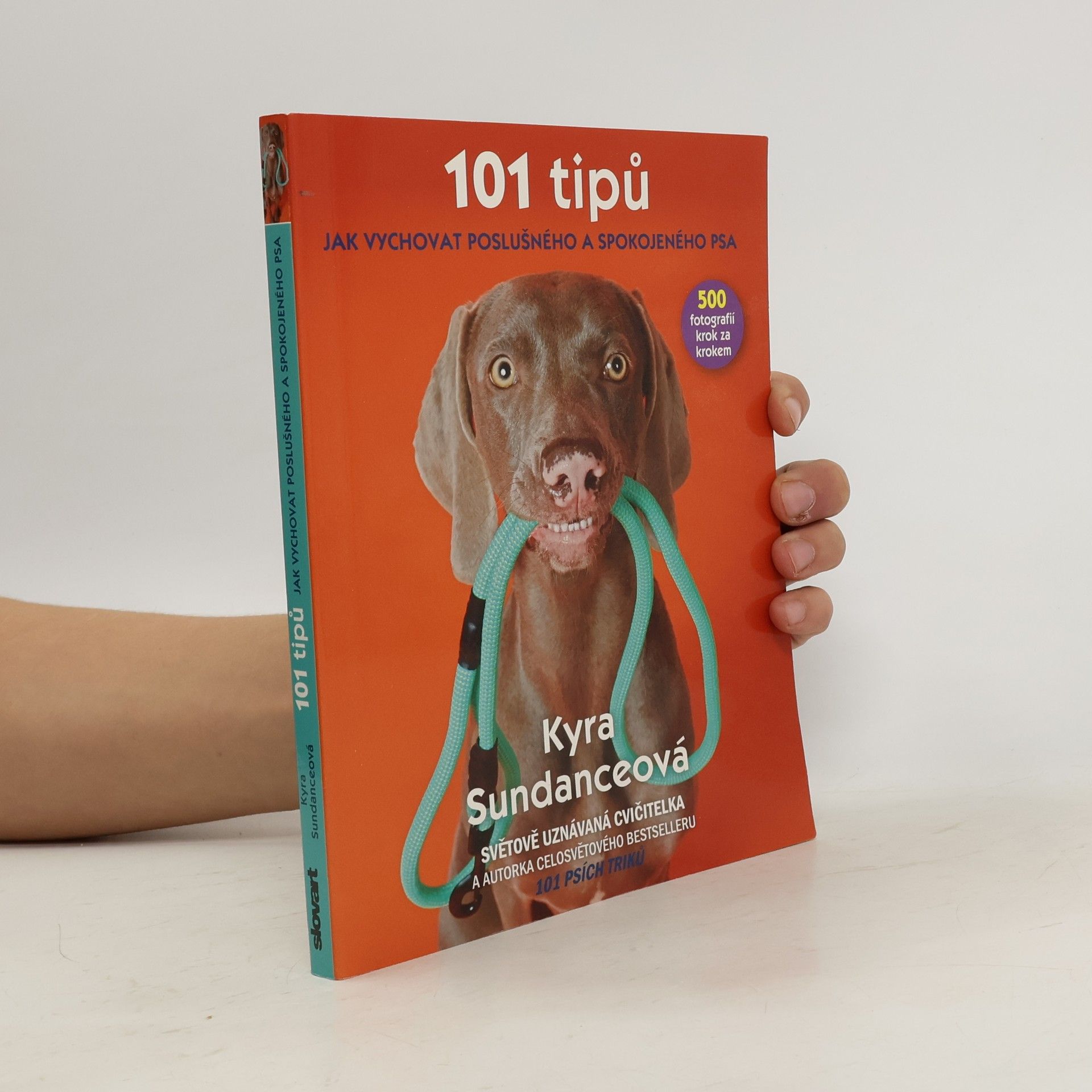 101 tipů jak vychovat poslušného a spokojeného psa