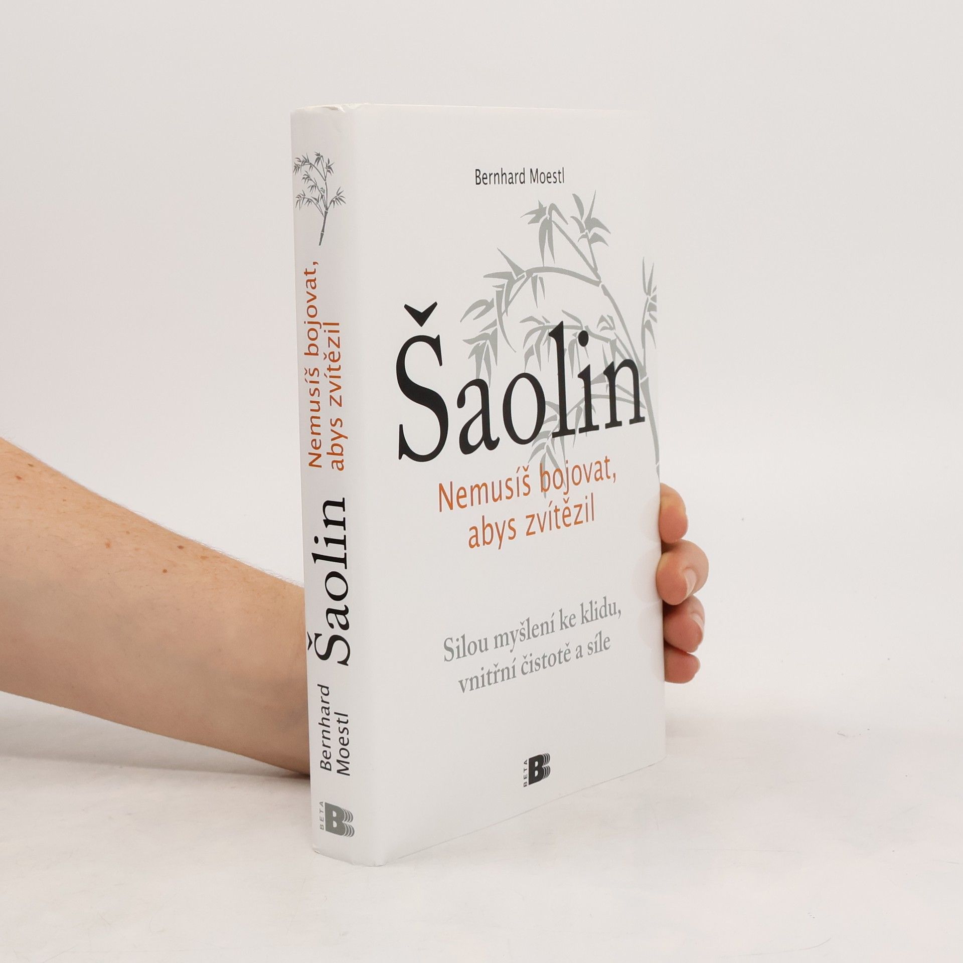 Bernhard Moestl Šaolin: Nemusíš bojovat, abys zvítězil